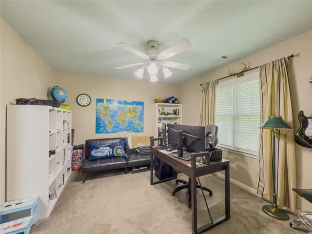 a view of a garden with a tree