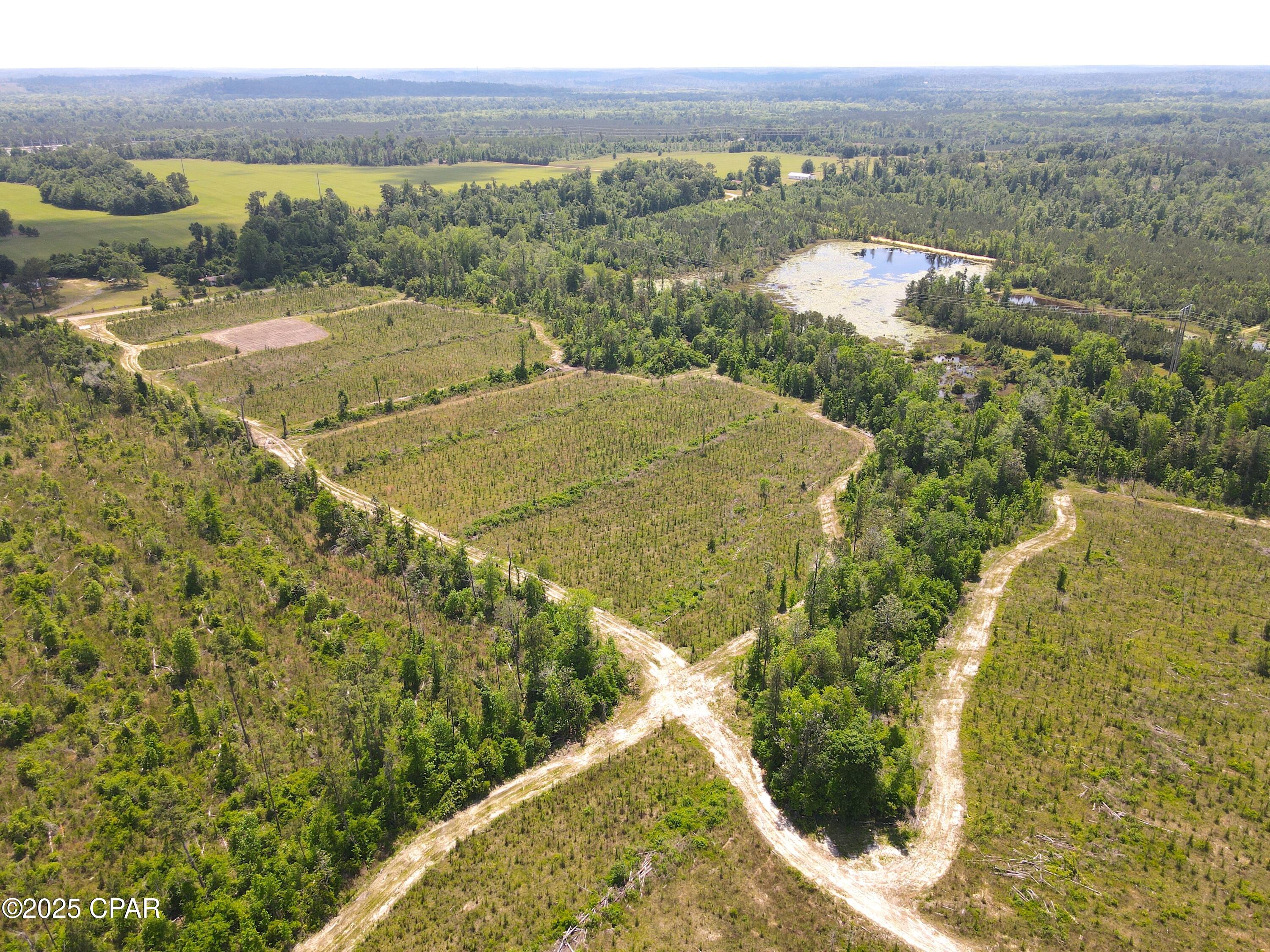 0 Sinai Road Sneads, FL 32460 - Photo 24 of 67 Gallery Image 24