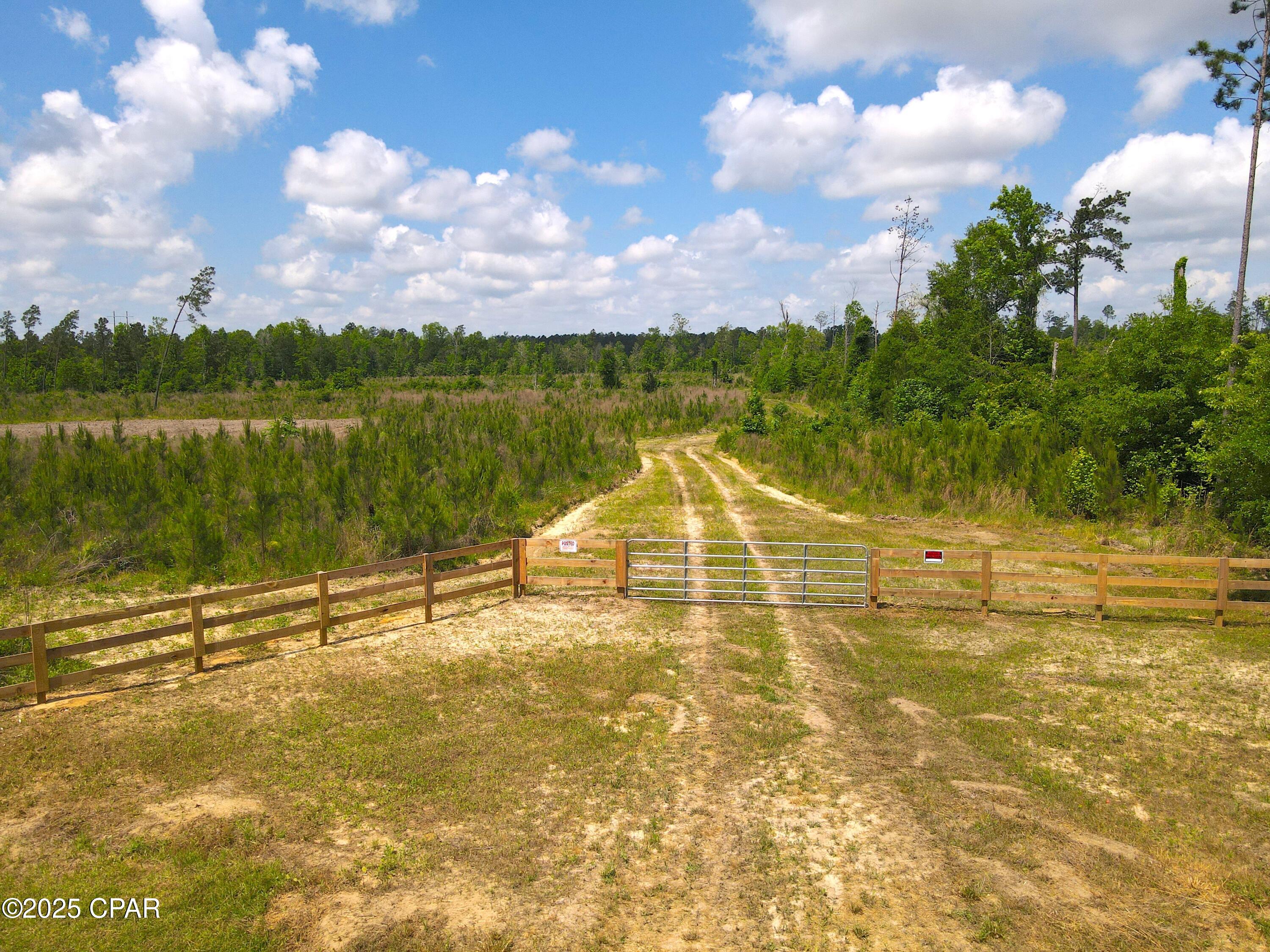 0 Sinai Road Sneads, FL 32460 - Photo 4 of 67 Gallery Image 4