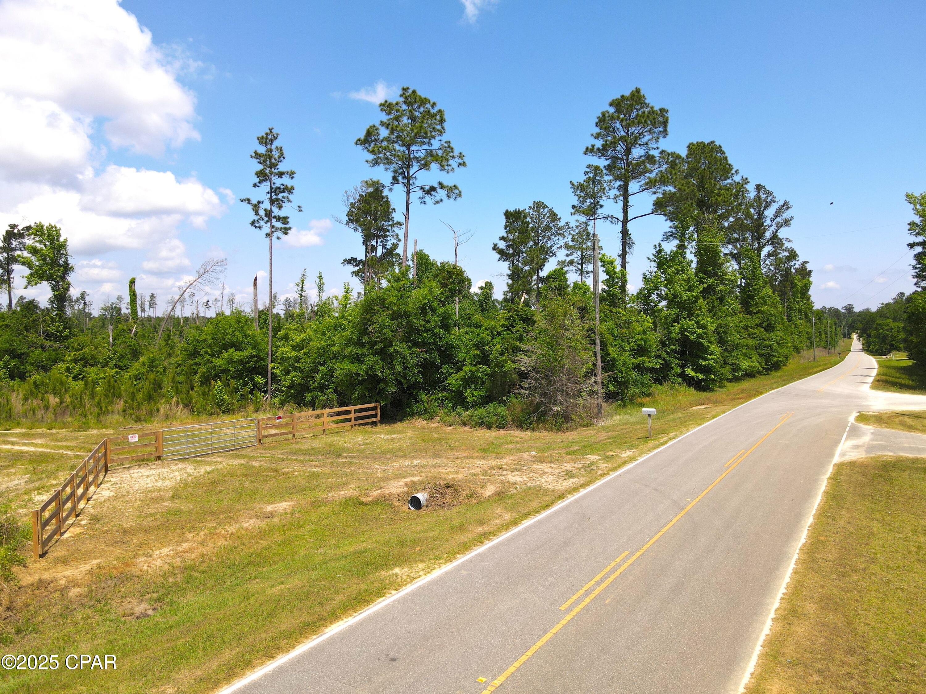 0 Sinai Road Sneads, FL 32460 - Photo 5 of 67 Gallery Image 5