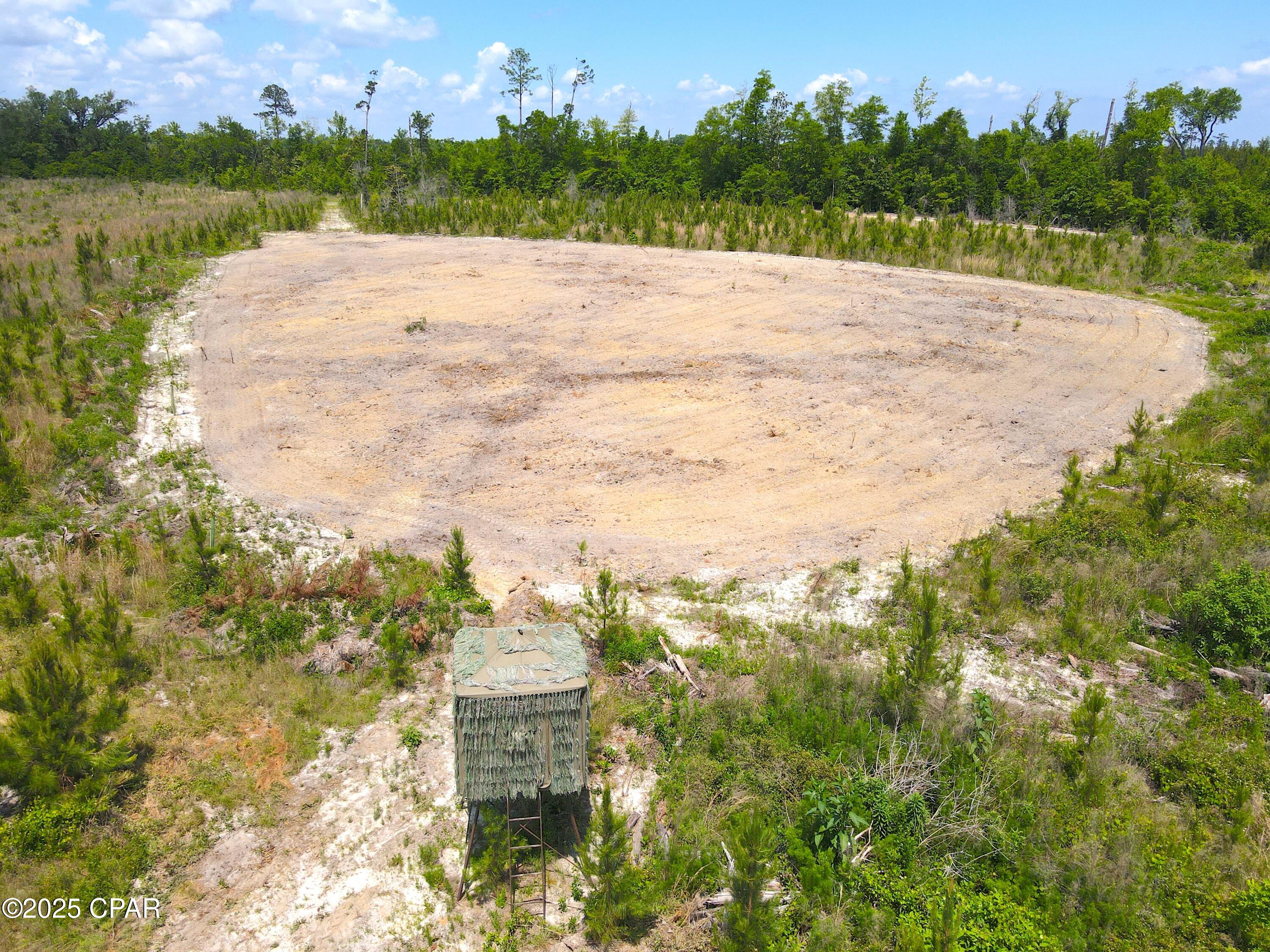 0 Sinai Road Sneads, FL 32460 - Photo 9 of 67 Gallery Image 9