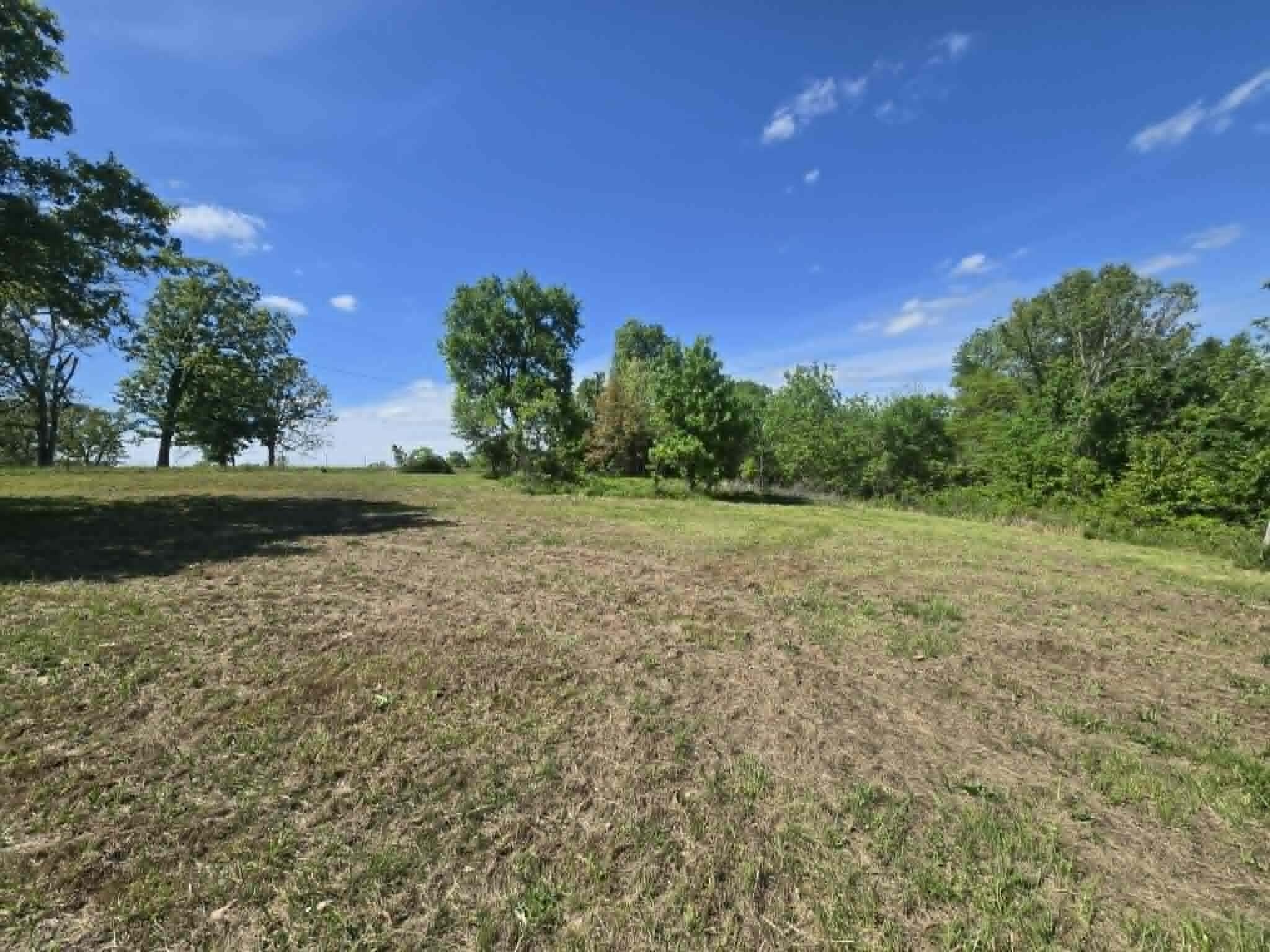 14008 Airport Road Cabool, MO 65689 - Photo 5 of 16 4a359e59-1491-4b84-9d18-dd70914455ed