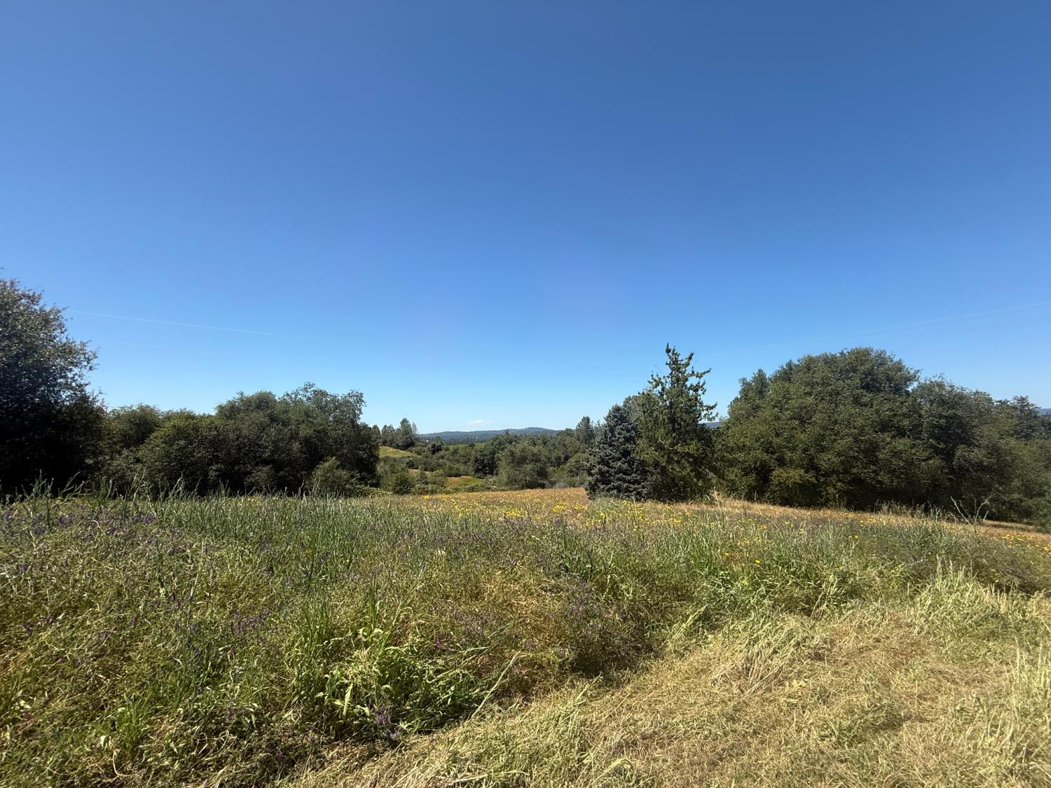 2322 Myrick Road Somerset, CA 95684 - Photo 11 of 30 a view of a field with an ocean