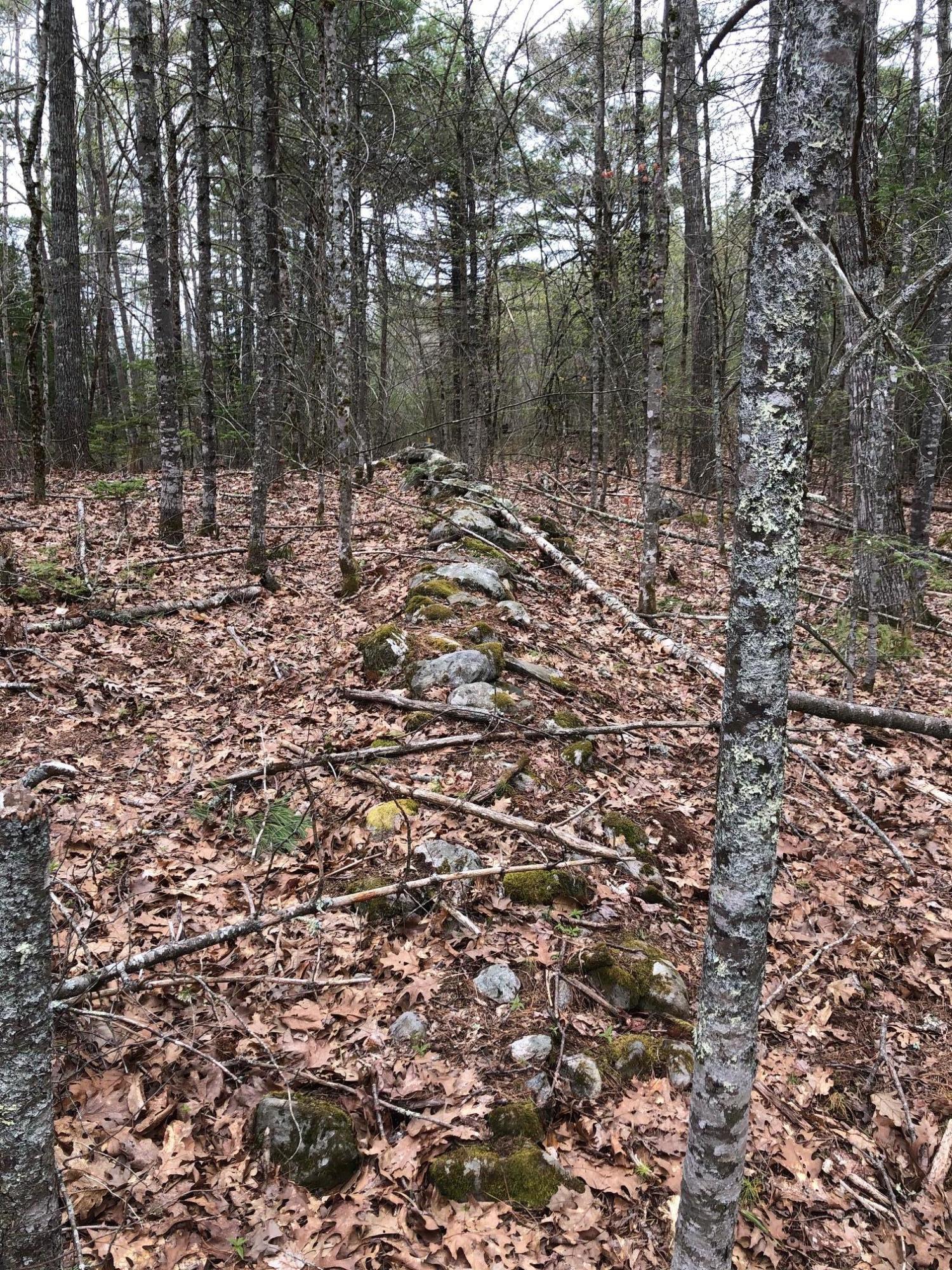 0 McCurdy Pond Road Bremen, ME 04551 - Photo 2 of 9 IMG_1372