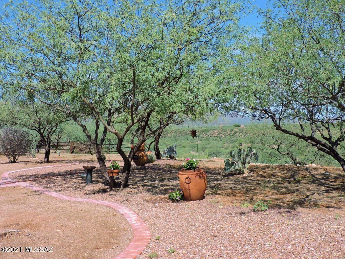 1704 Leary Court Rio Rico, AZ 85648 - Photo 8 of 37 a view of a road with a tree