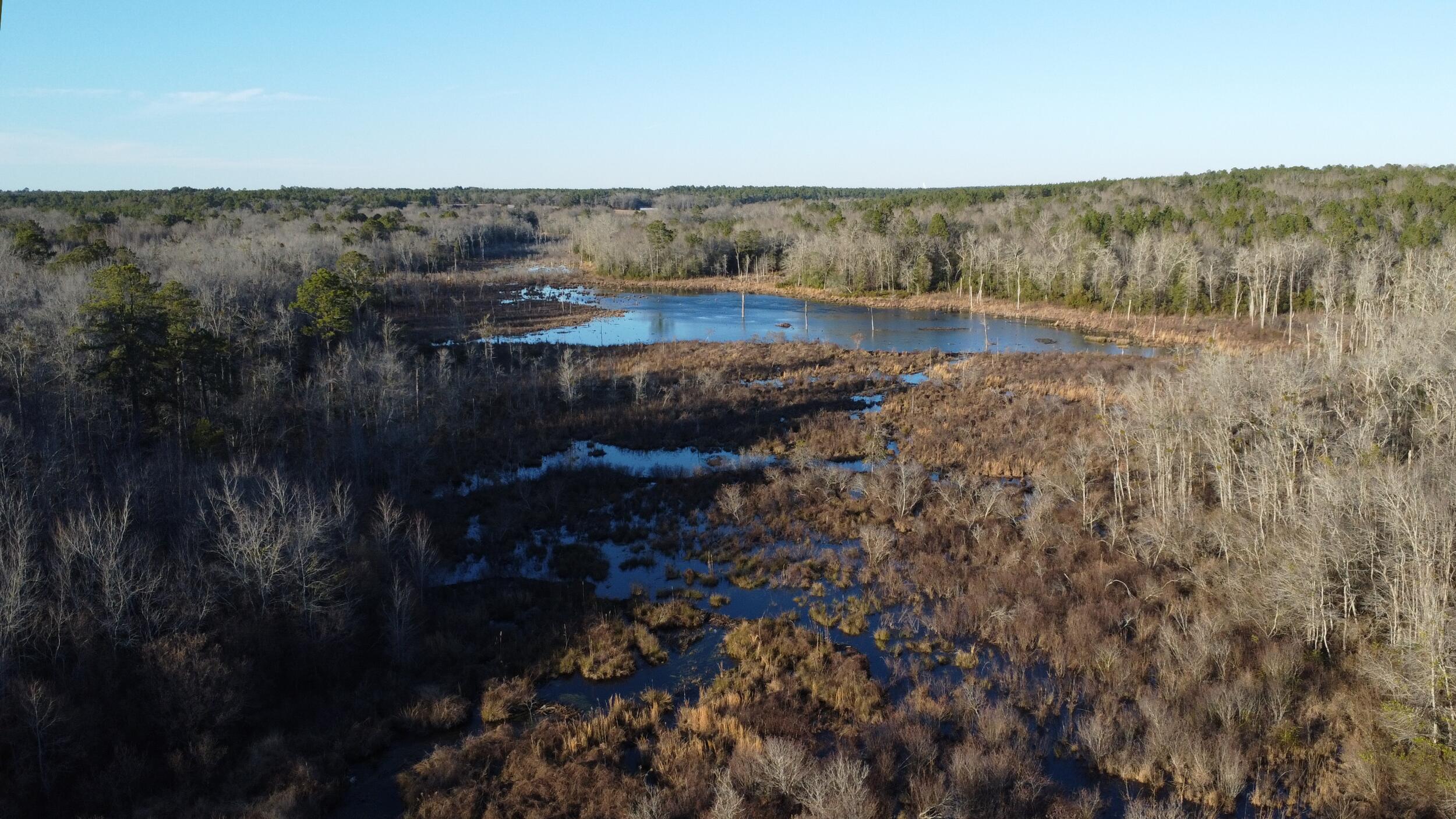 0 Millers Pond Road Salley, SC 29137 - Photo 1 of 28