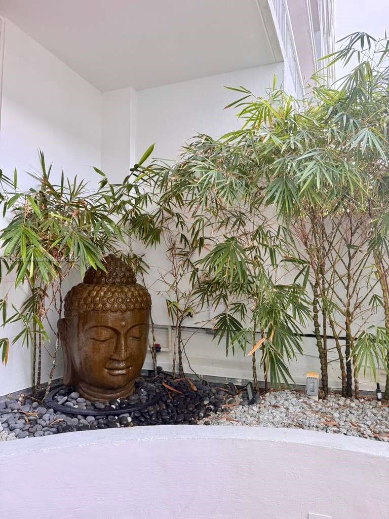 5401 Collins Avenue, Unit 131 Miami Beach, FL 33140 - Photo 16 of 33 a plant that is sitting in a backyard