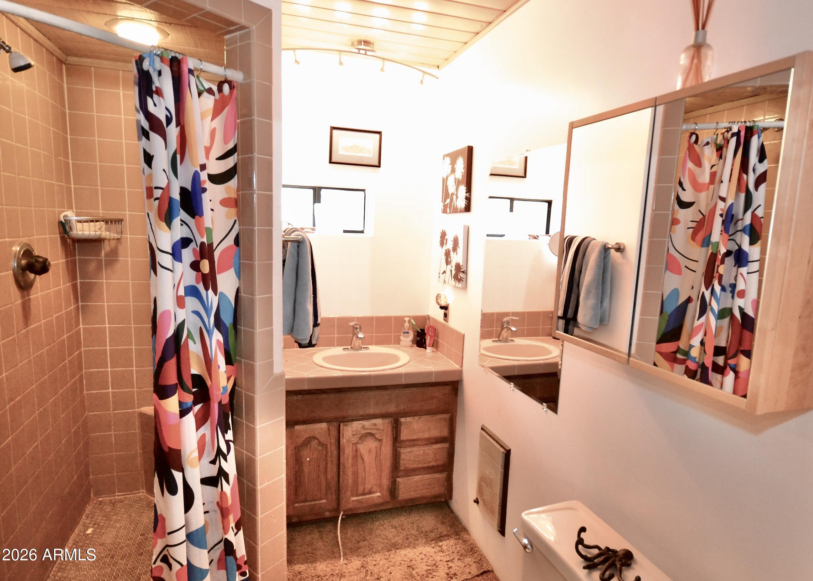 23617 South Demascus Road Crown King, AZ 86343 - Photo 31 of 50 a bathroom with a sink and mirror with toilet
