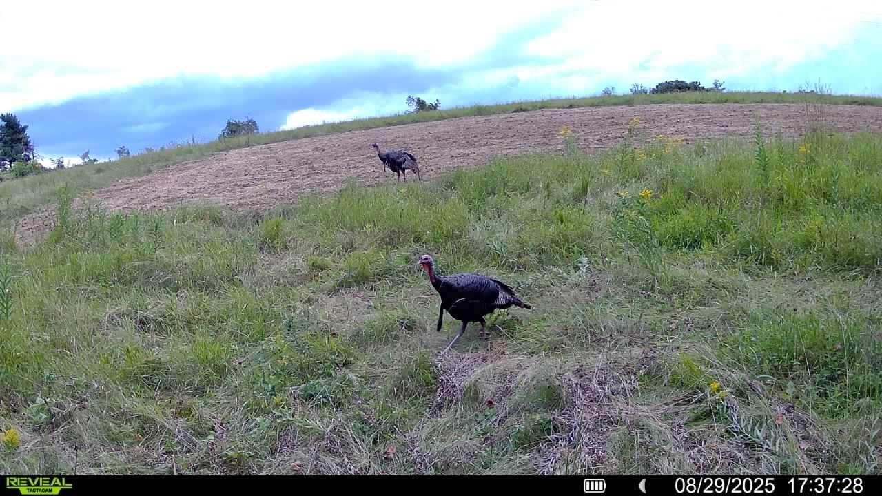 Tbd 48th Street Northeast Rochester, MN 55906 - Photo 17 of 27