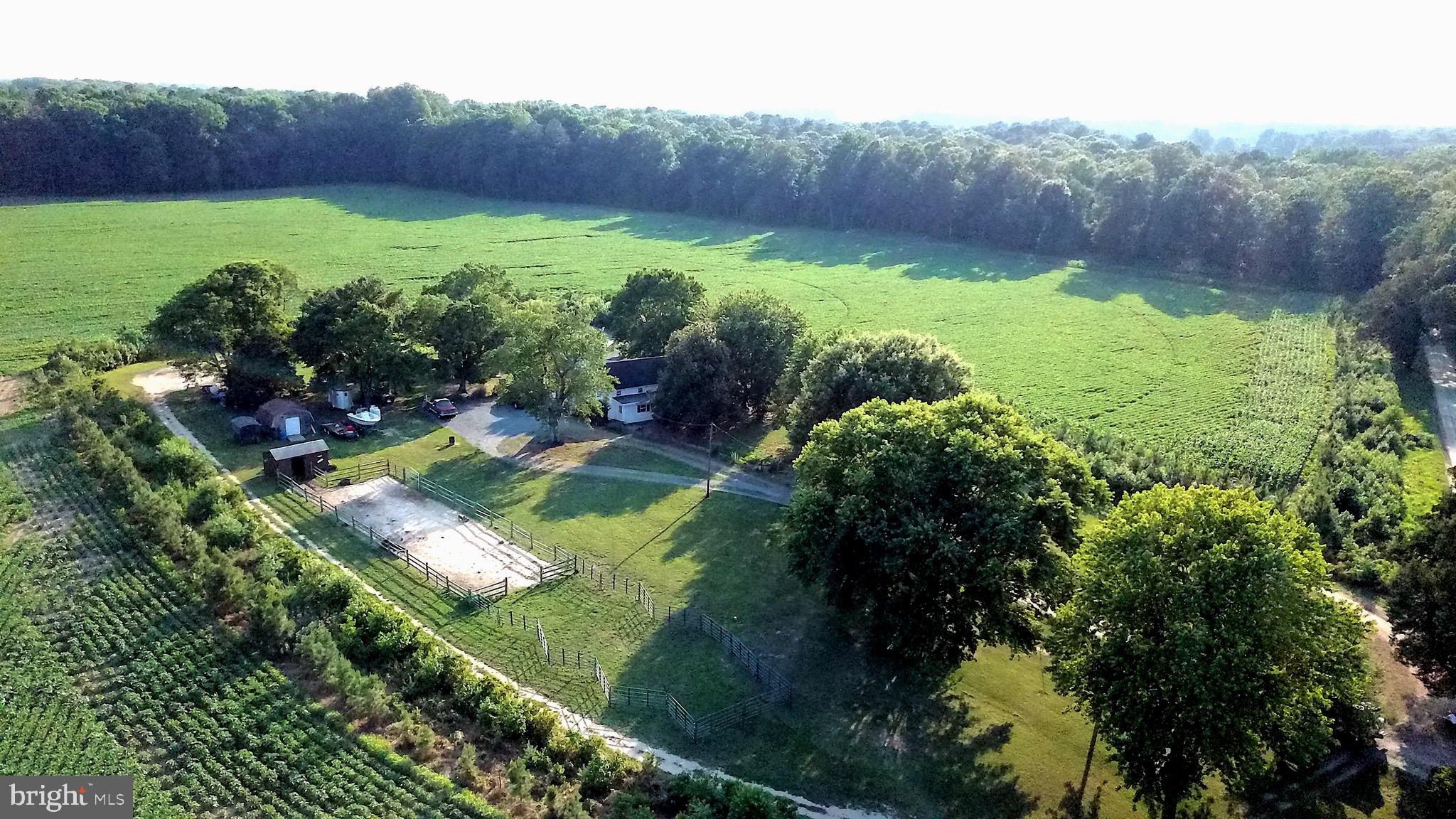 a view of a back yard