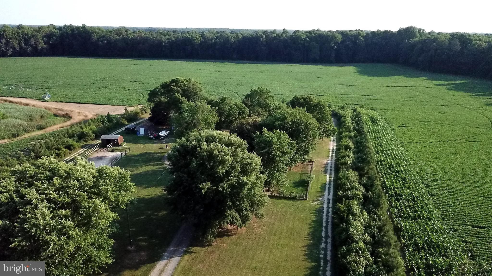 25439 Towers Road Denton, MD 21629 - Photo 3 of 40