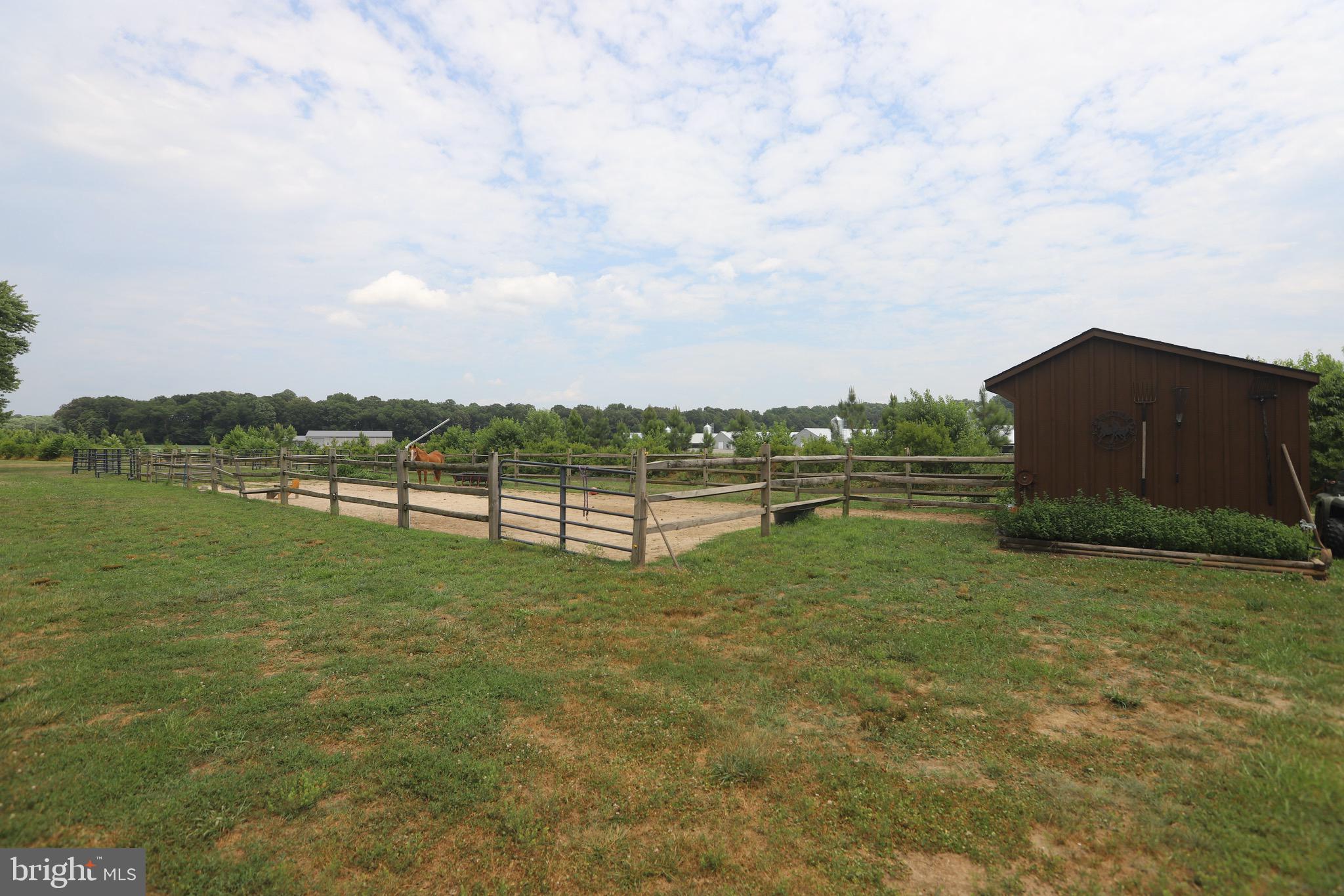 25439 Towers Road Denton, MD 21629 - Photo 21 of 40 a view of a lake with houses in the back