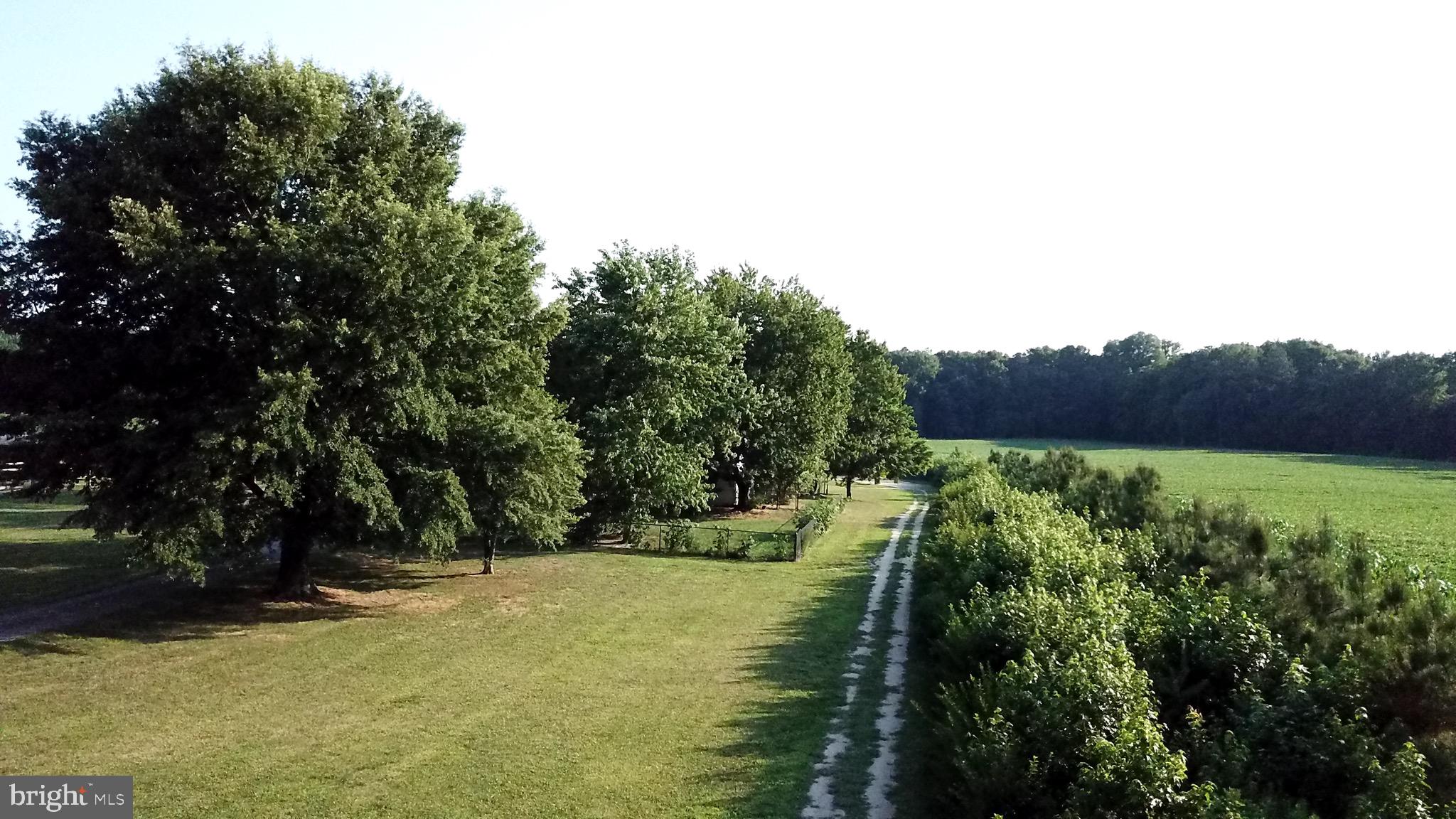 25439 Towers Road Denton, MD 21629 - Photo 4 of 40 a view of a yard