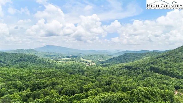 a view of a bunch of trees and bushes