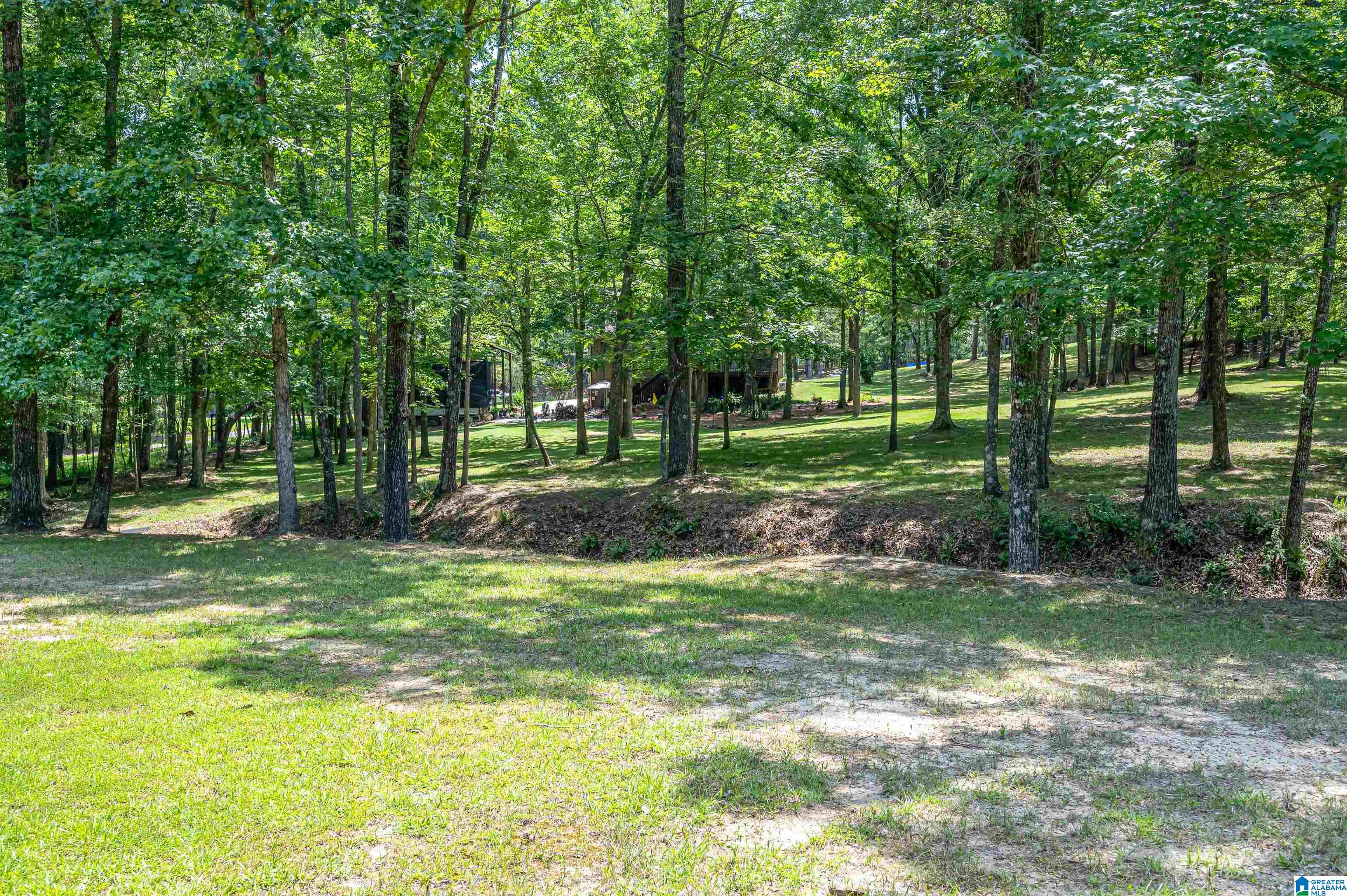 290 Baron Drive Chelsea, AL 35043 - Photo 51 of 59