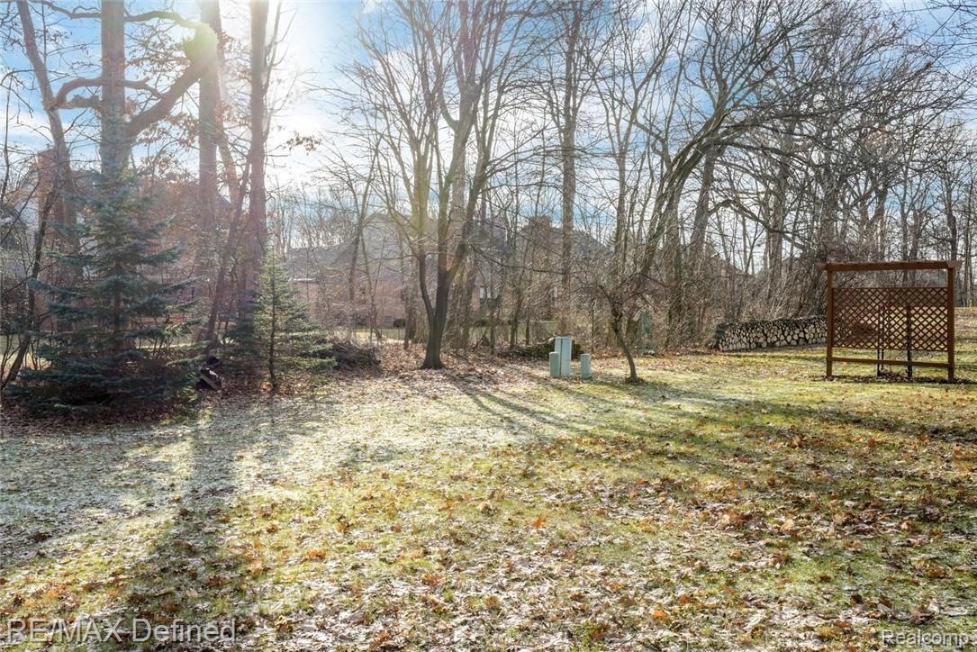 Mature Trees Provide Privacy