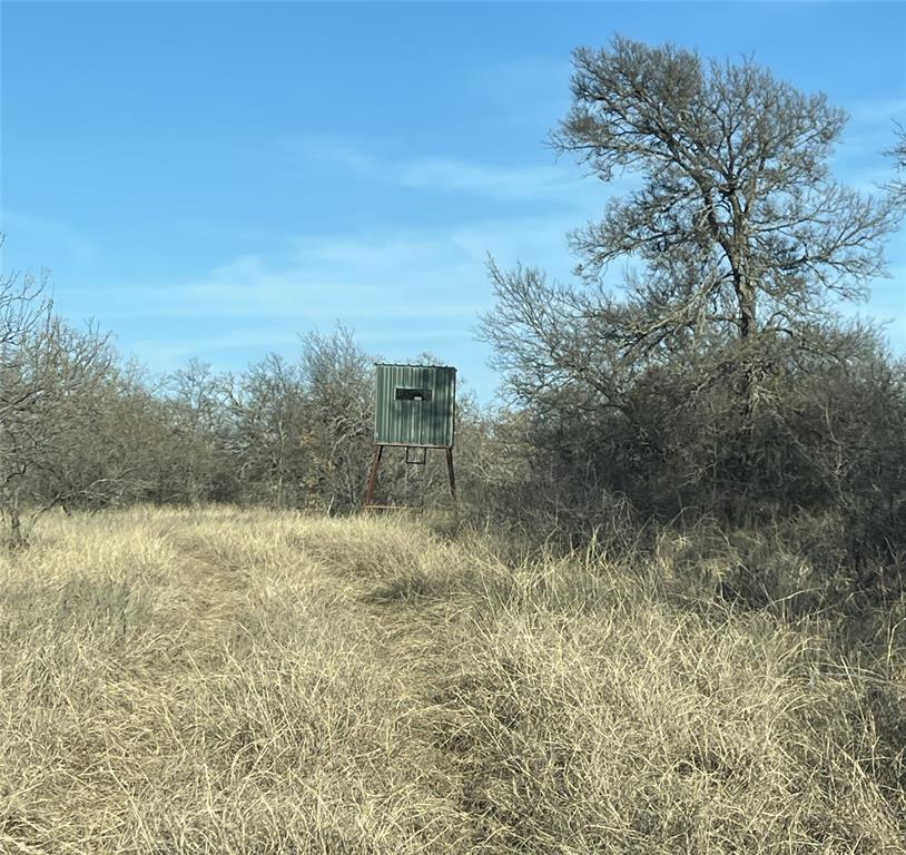 Tbd Oilfield Road Jacksboro, TX 76458 - Photo 10 of 35 a view of a yard with a tree