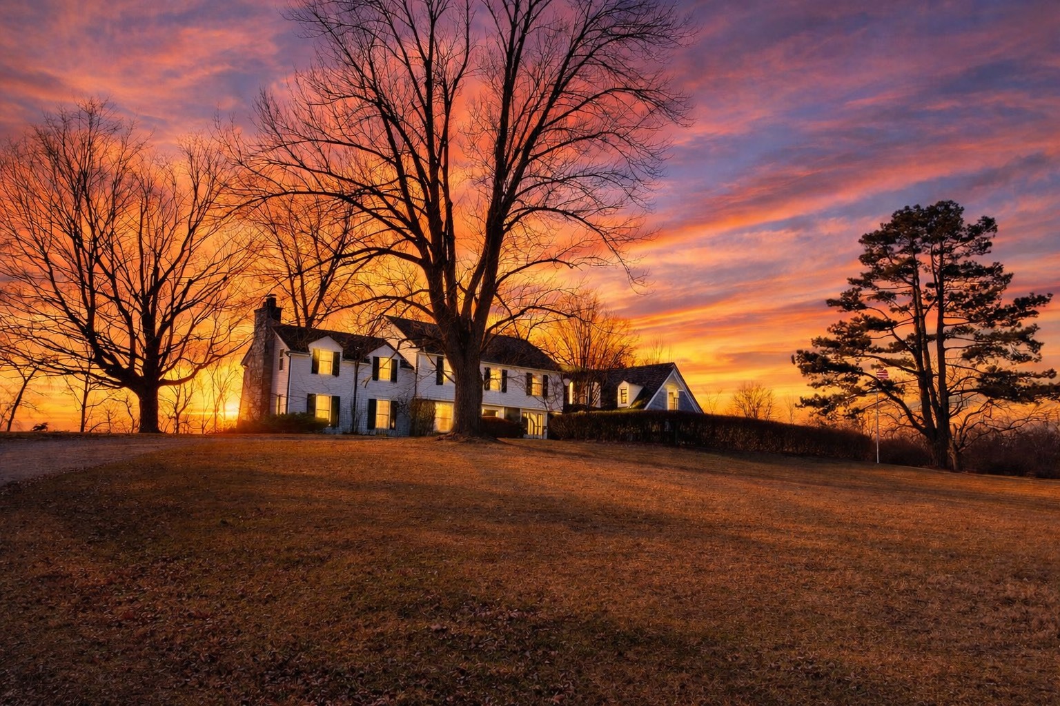 a view of road with trees