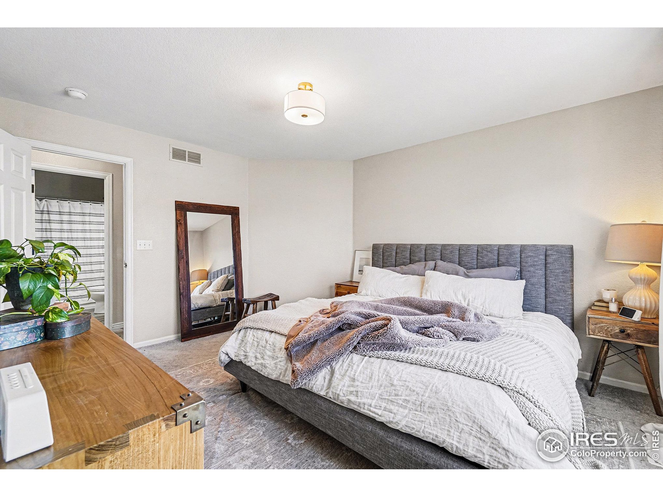 1244 Spring Creek Court Longmont, CO 80504 - Photo 13 of 32 a bedroom with a bed and a potted plant
