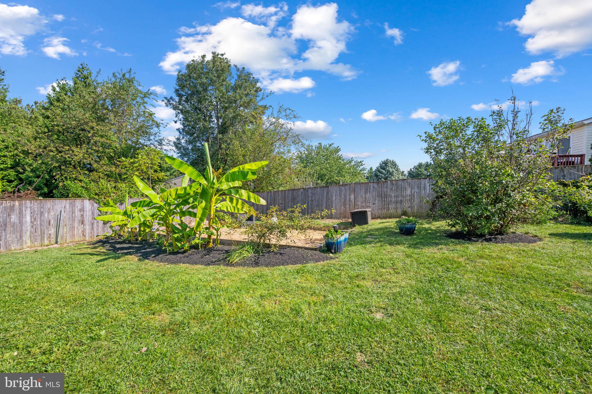 2936 Bachman Road Manchester, MD 21102 - Photo 29 of 32 Backyard