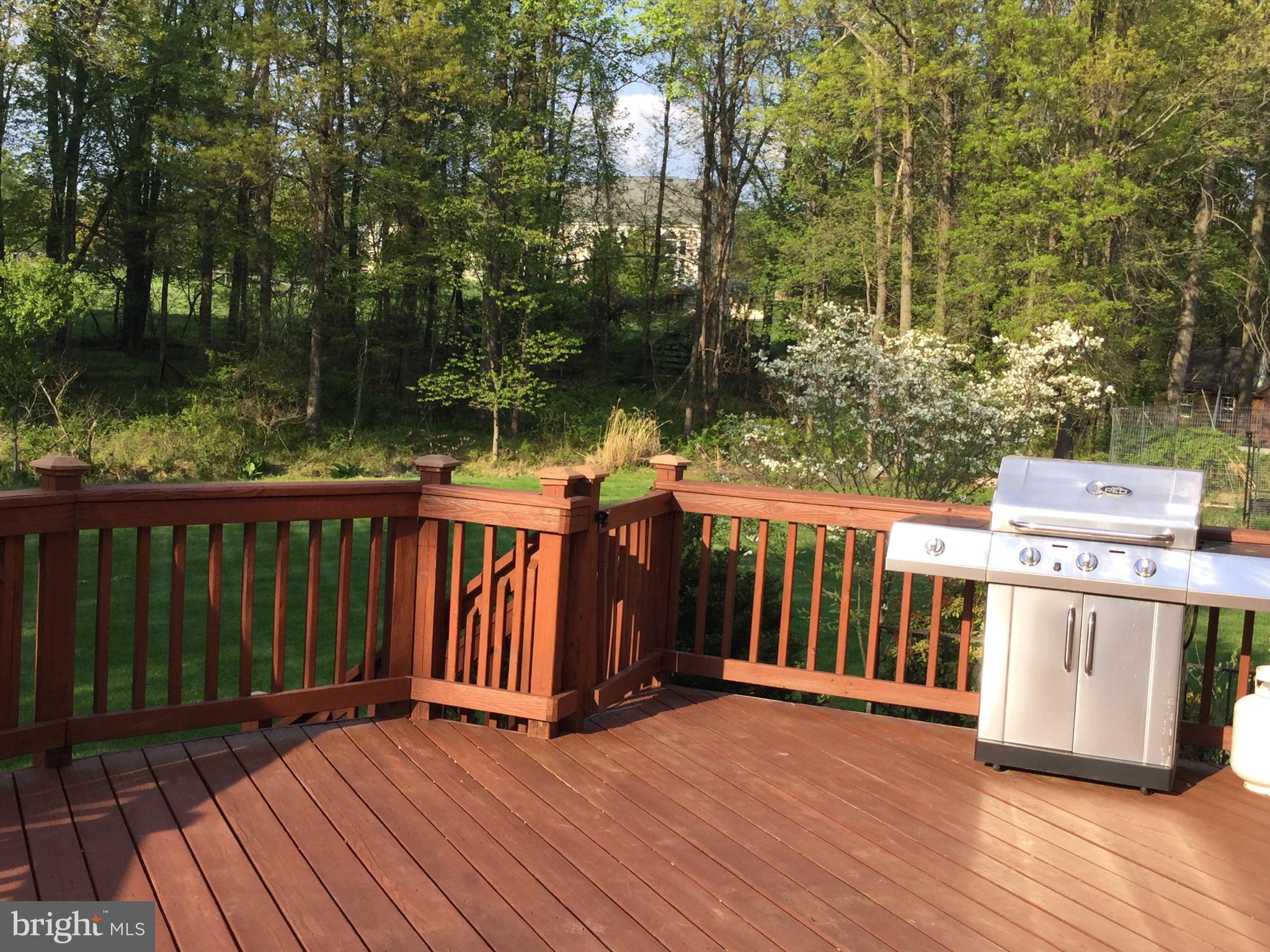 11814 Triadelphia Road Ellicott City, MD 21042 - Photo 11 of 59 Oversized Deck
