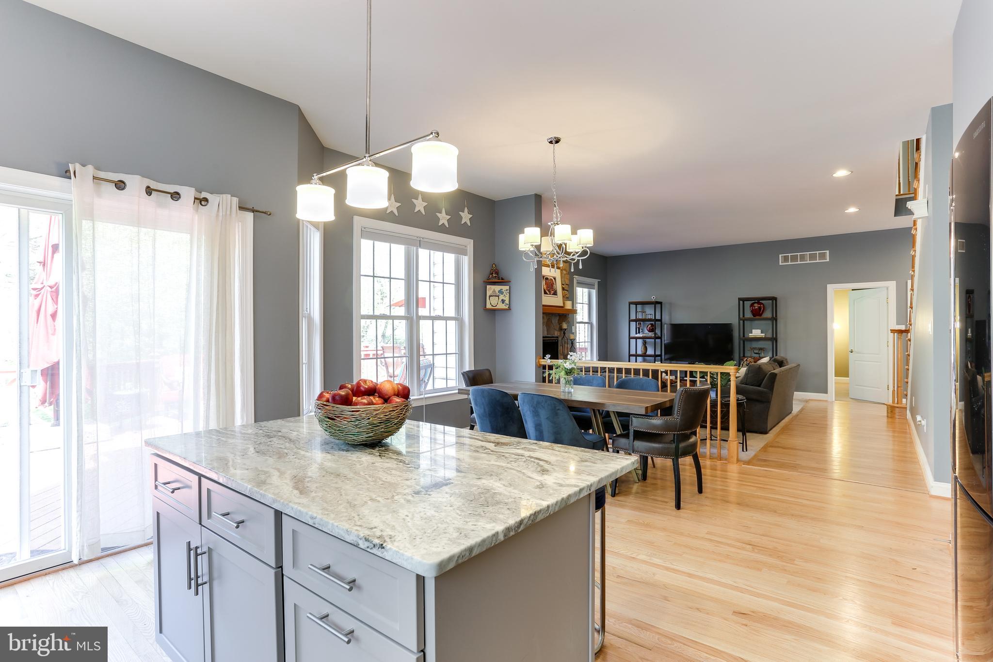 11814 Triadelphia Road Ellicott City, MD 21042 - Photo 15 of 59 Gallery Image 15