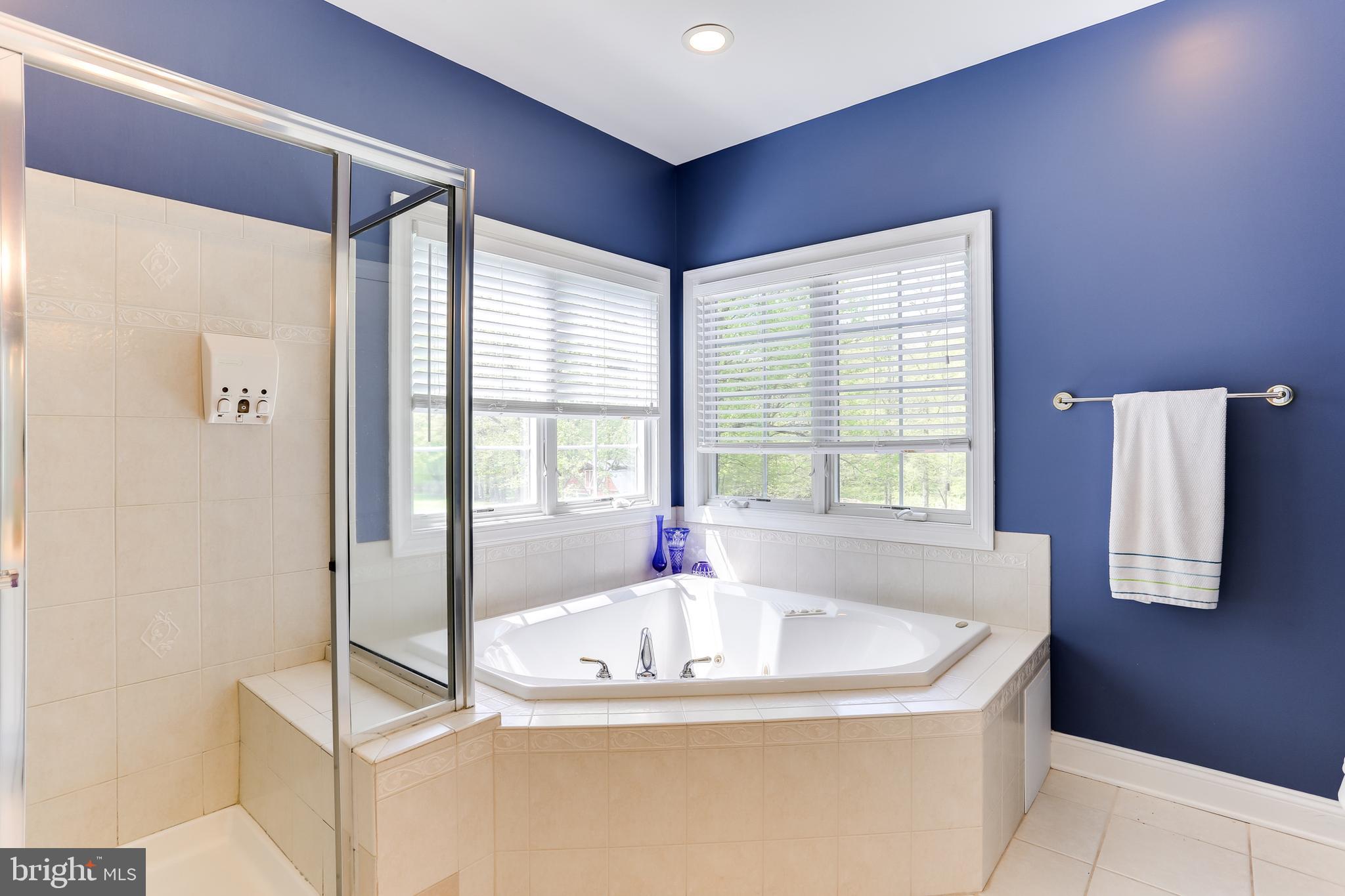 11814 Triadelphia Road Ellicott City, MD 21042 - Photo 32 of 59 Gallery Image 32
