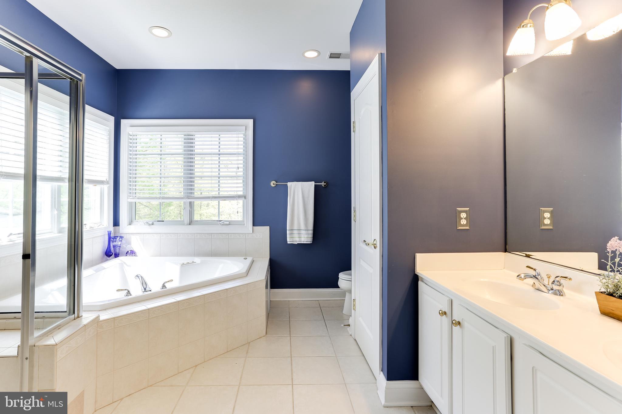 11814 Triadelphia Road Ellicott City, MD 21042 - Photo 33 of 59 Gallery Image 33