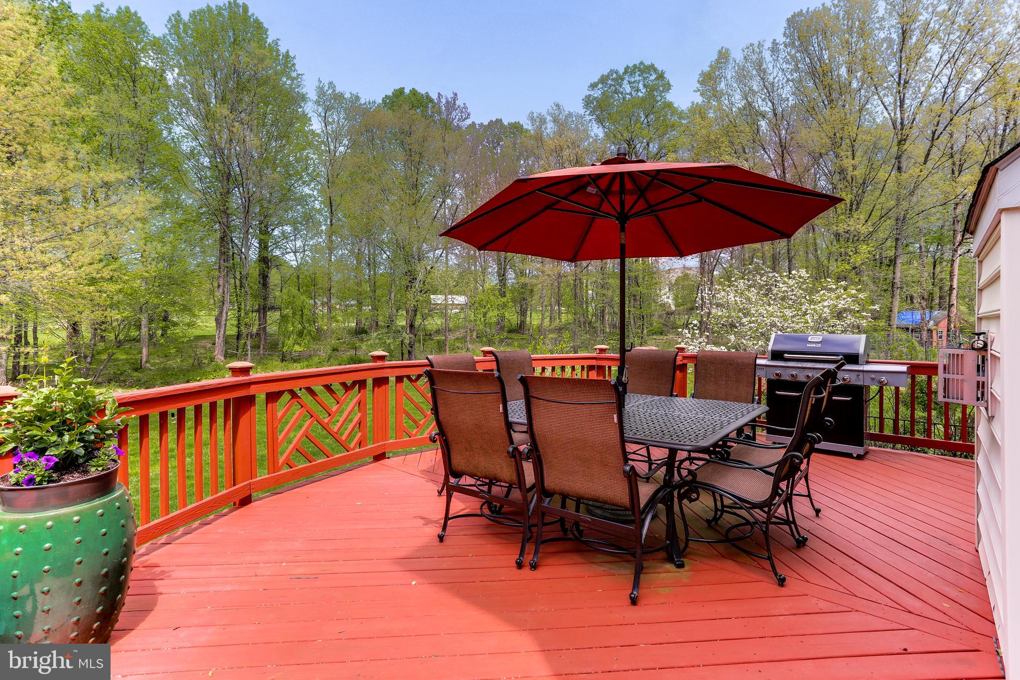 11814 Triadelphia Road Ellicott City, MD 21042 - Photo 54 of 59 Gallery Image 54