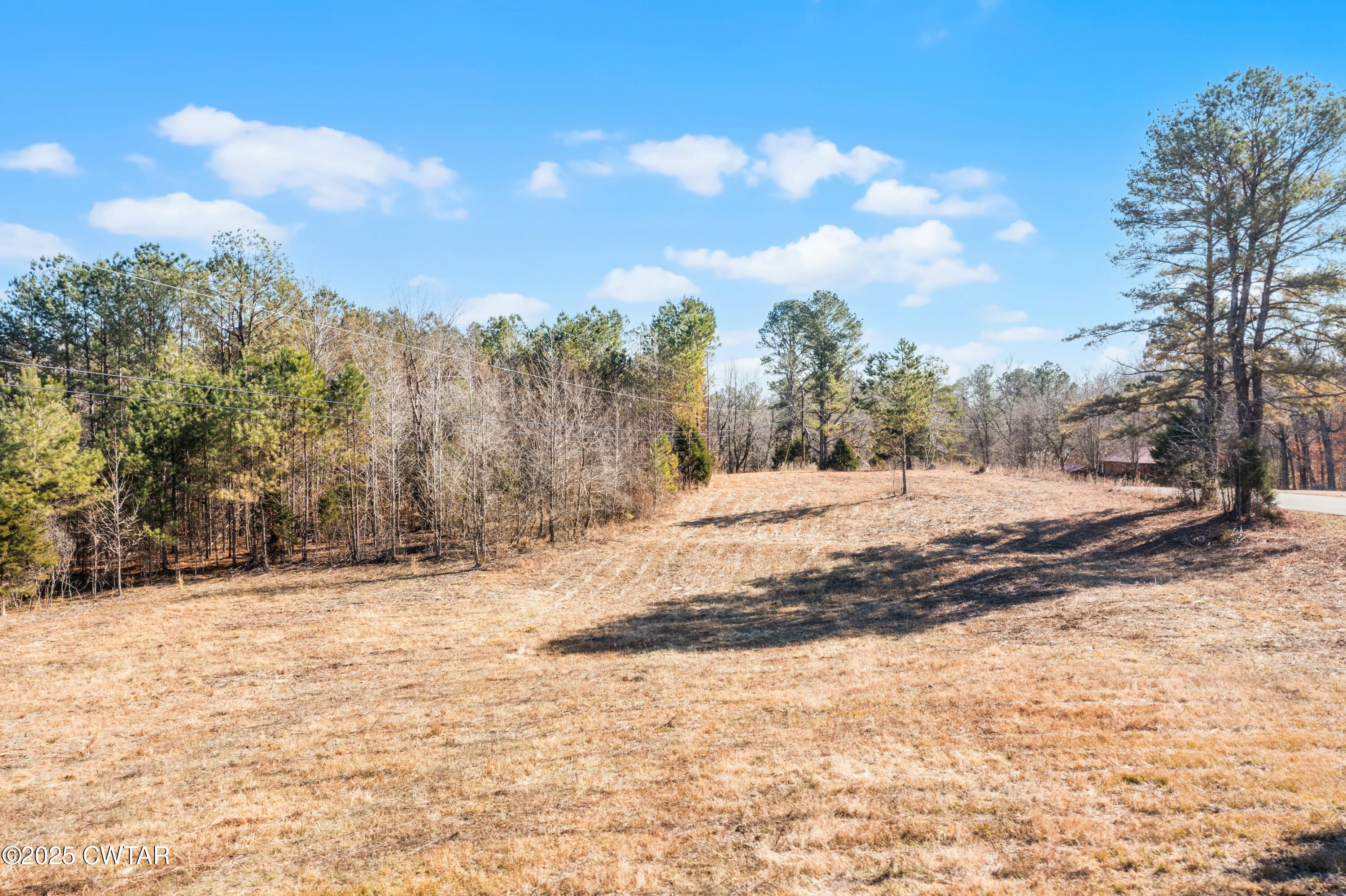 0 New Friendship Road Beech Bluff, TN 38313 - Photo 4 of 11 a view of empty space with snow on the road