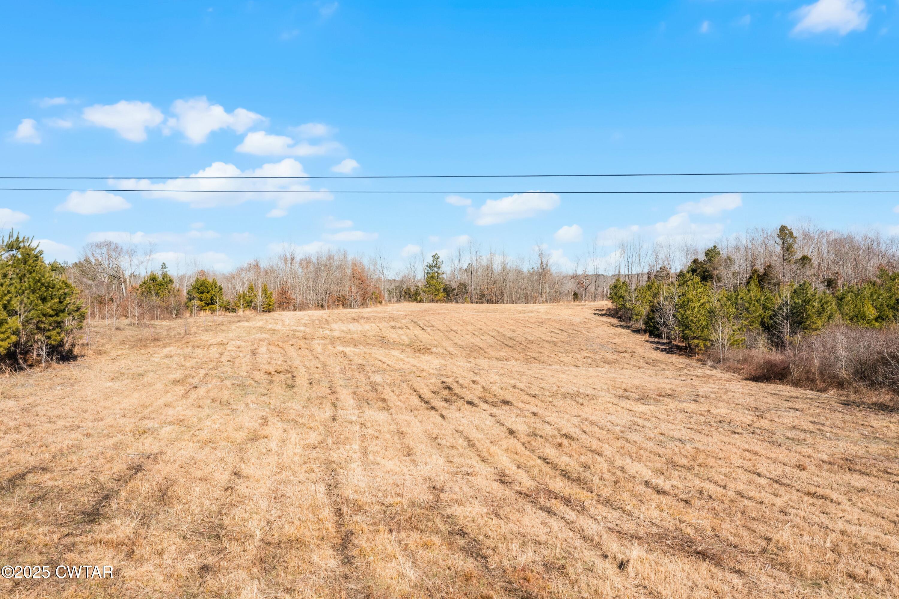 0 New Friendship Road Beech Bluff, TN 38313 - Photo 8 of 11