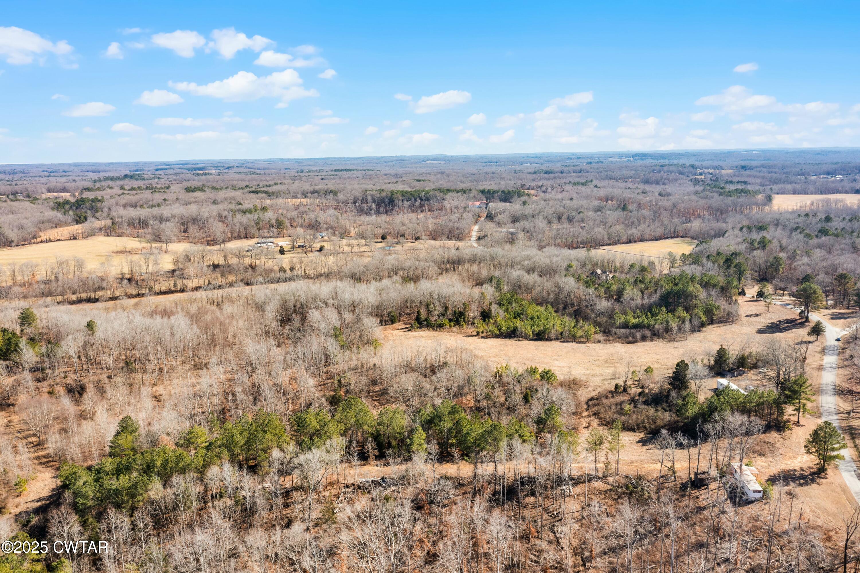 0 New Friendship Road Beech Bluff, TN 38313 - Photo 10 of 11