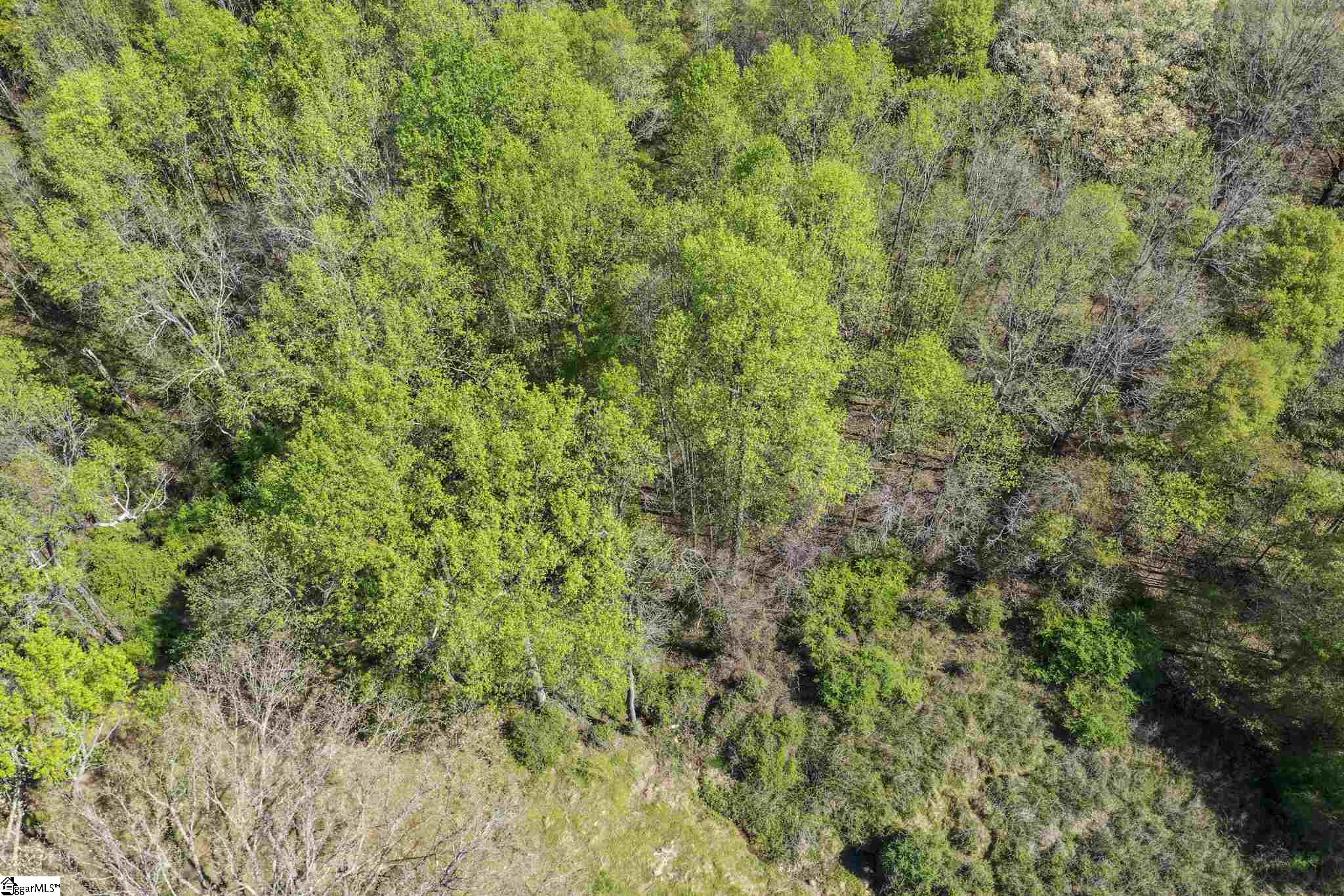 Bethany Road Simpsonville, SC 29681 - Photo 14 of 27 Gallery Image 14