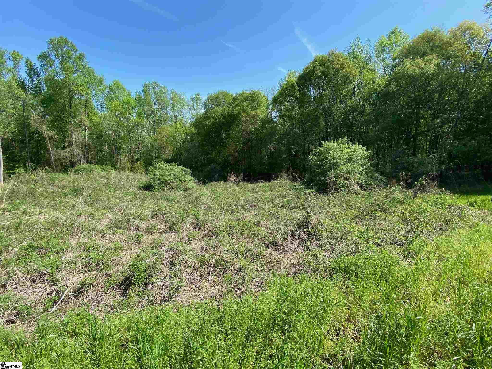 Bethany Road Simpsonville, SC 29681 - Photo 21 of 27 Gallery Image 21