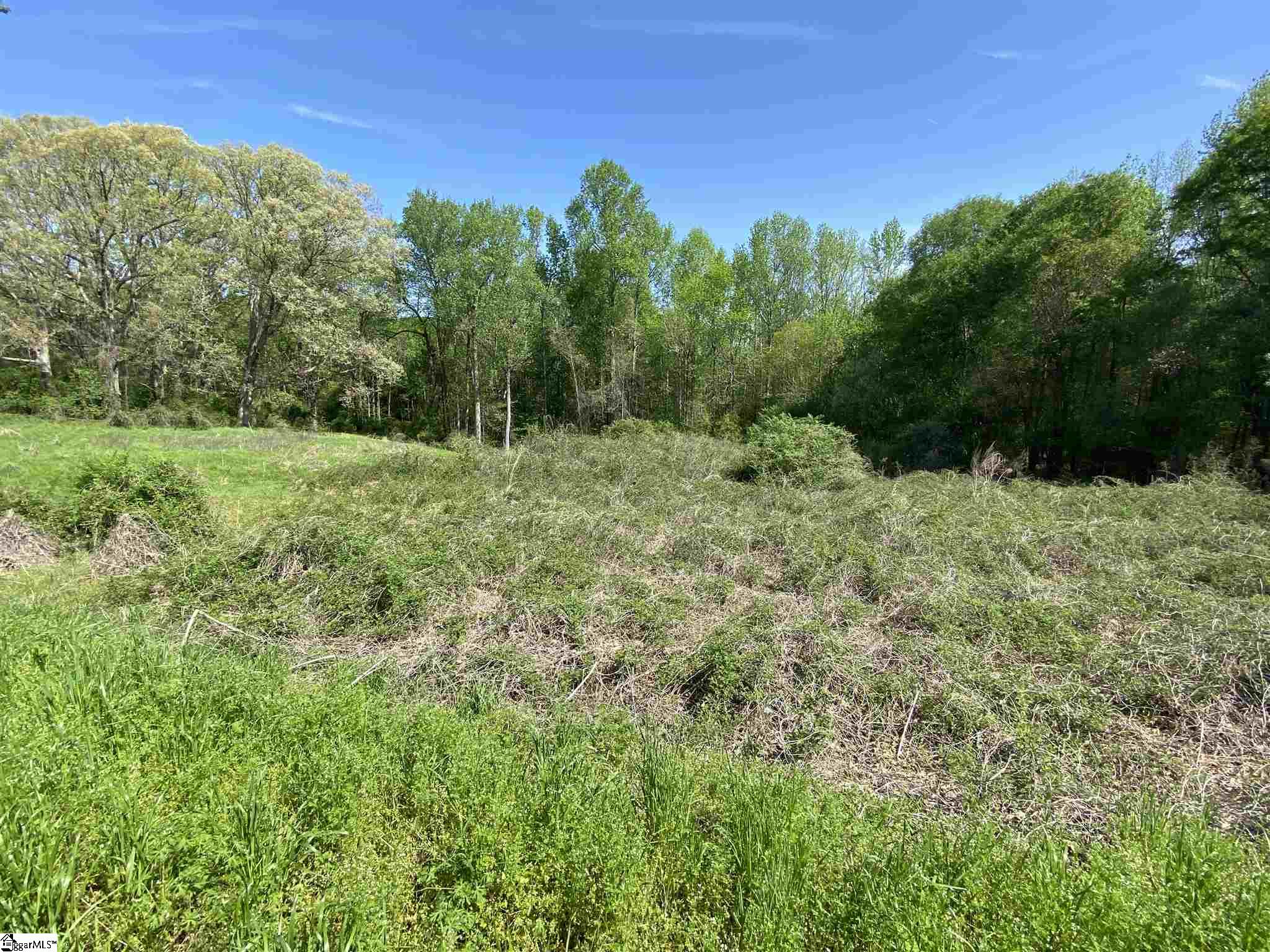 Bethany Road Simpsonville, SC 29681 - Photo 22 of 27 Gallery Image 22