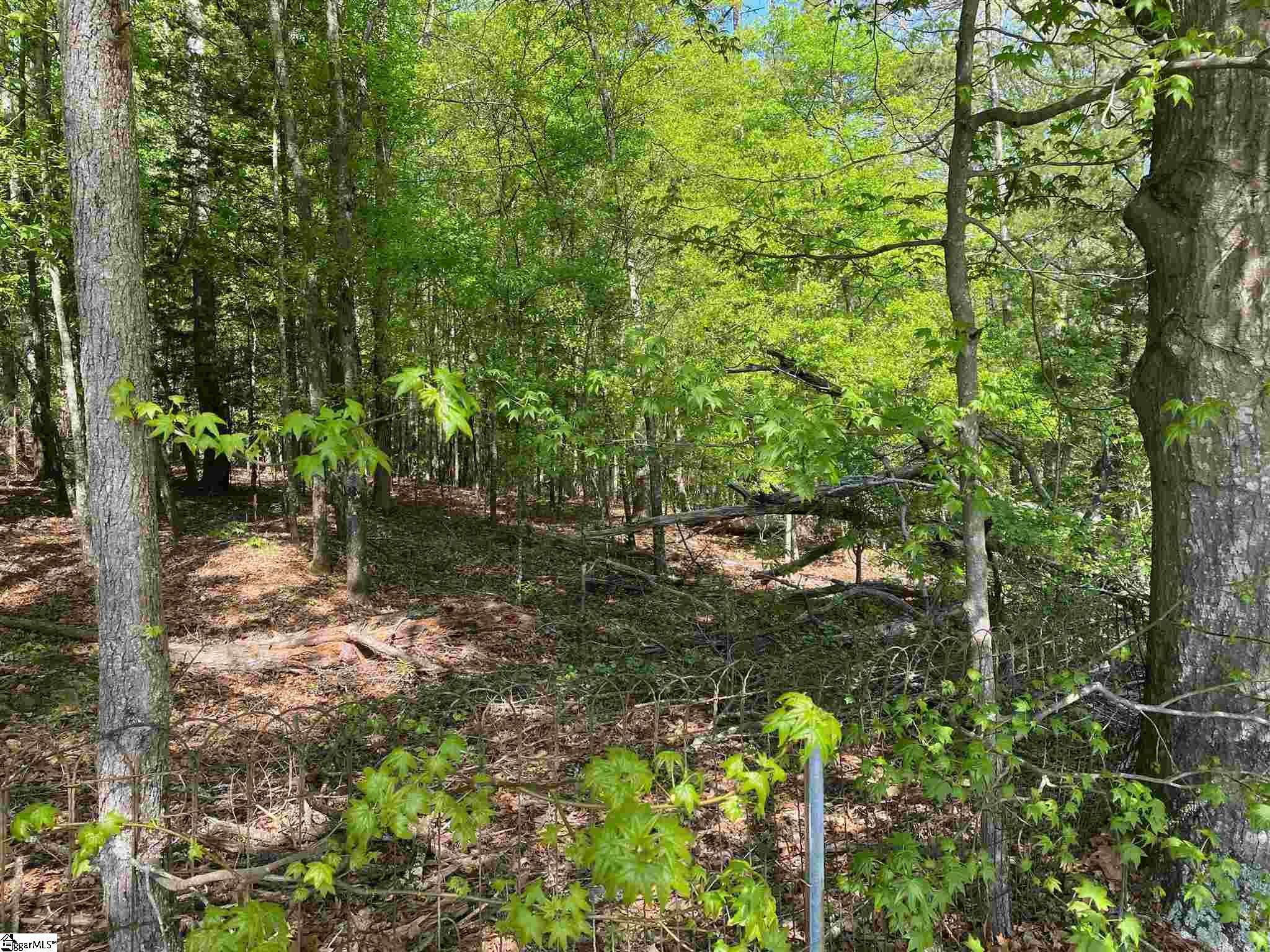 Bethany Road Simpsonville, SC 29681 - Photo 26 of 27 Gallery Image 26