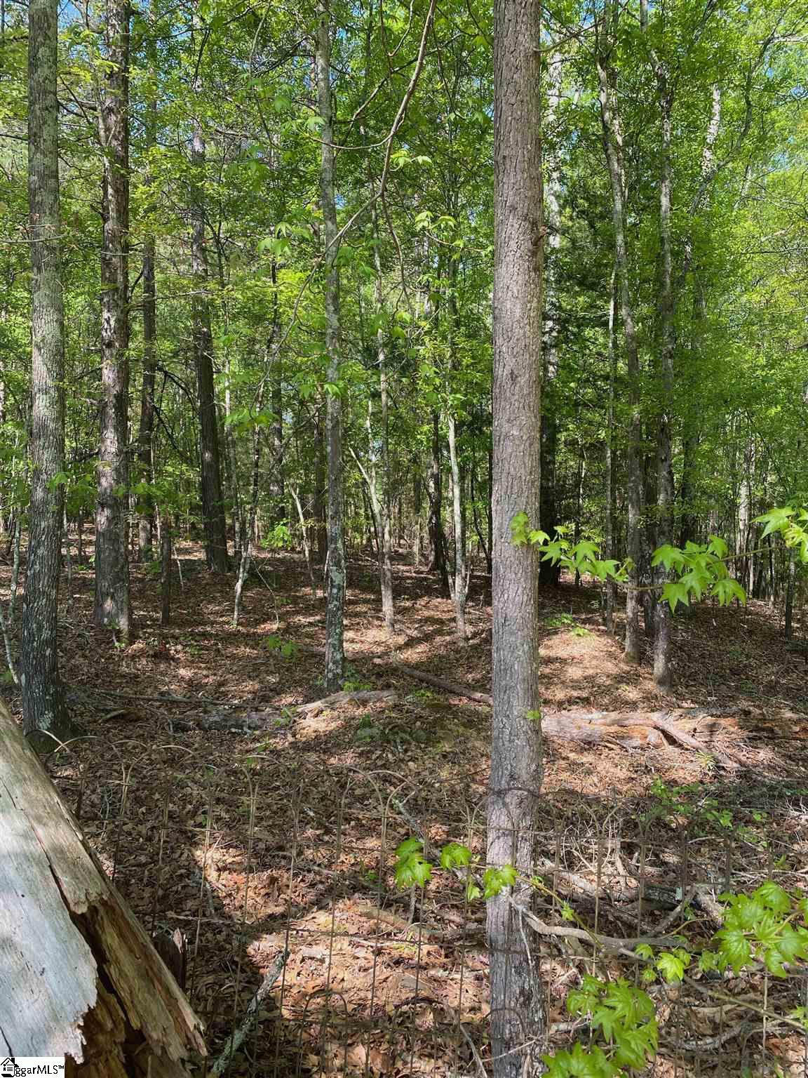 Bethany Road Simpsonville, SC 29681 - Photo 27 of 27 Gallery Image 27