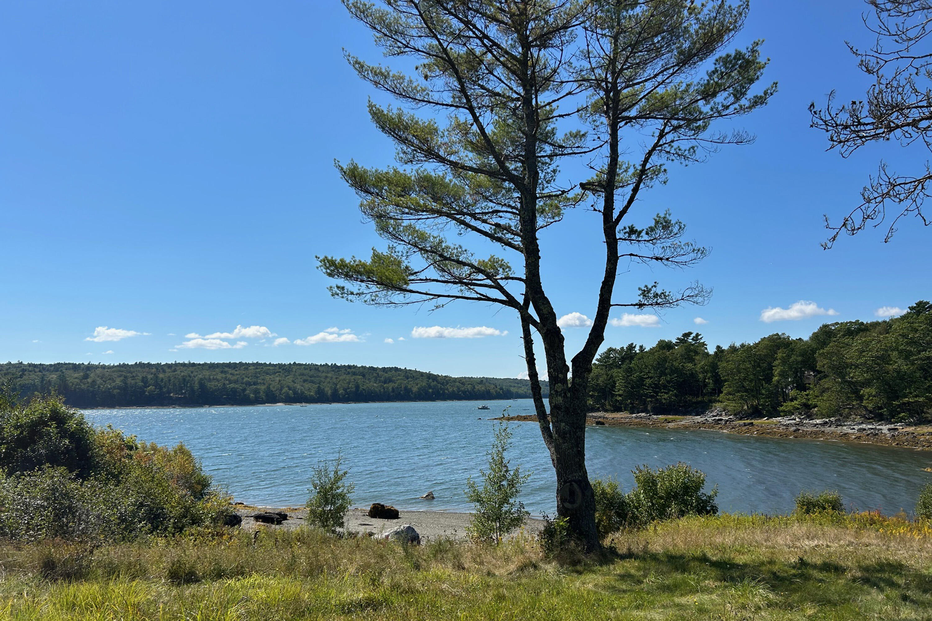 884 Surry Road Surry, ME 04684 - Photo 3 of 4 IMG_1144