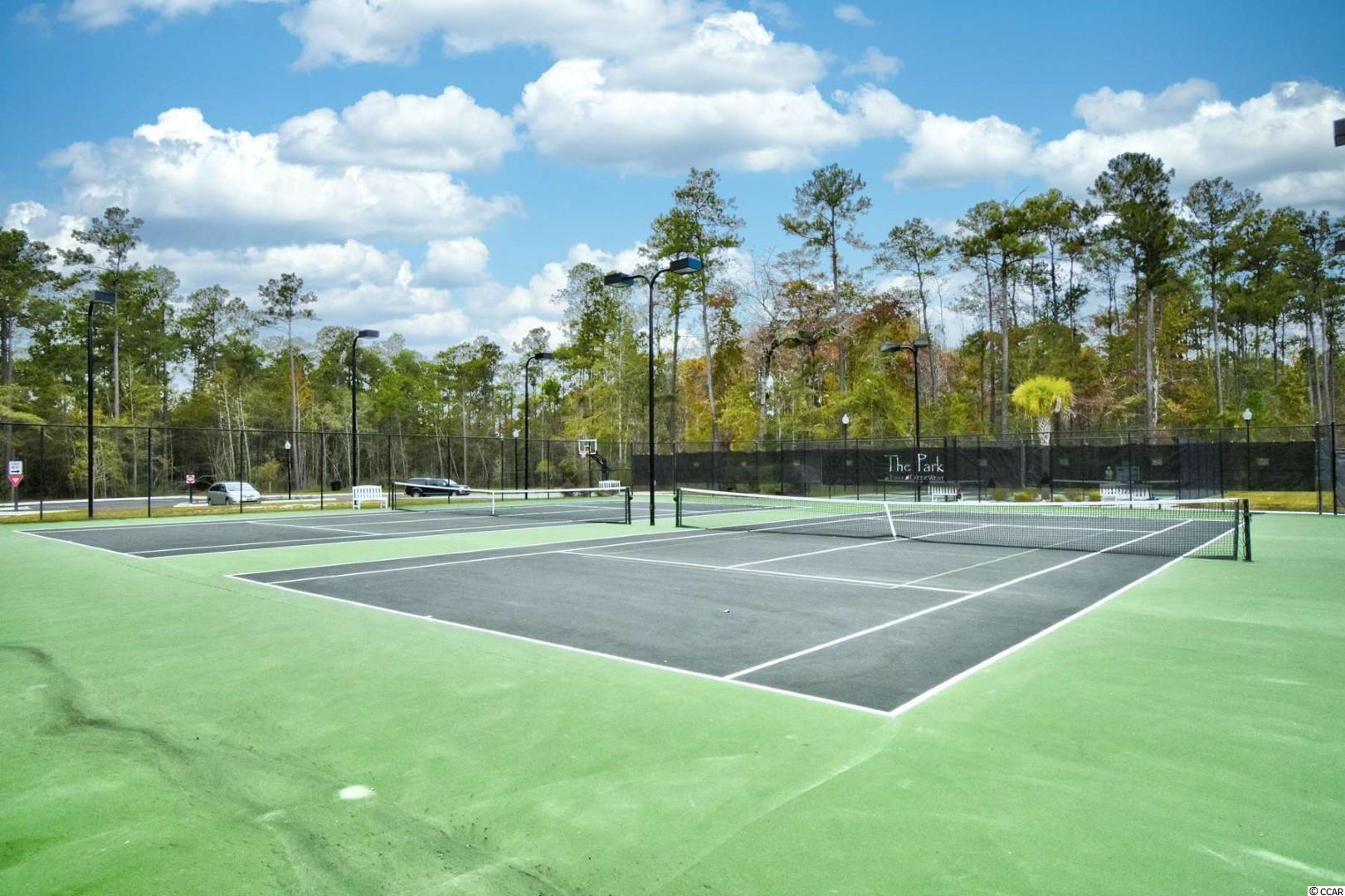 233 Low Country Loop Murrells Inlet, SC 29576 - Photo 12 of 14