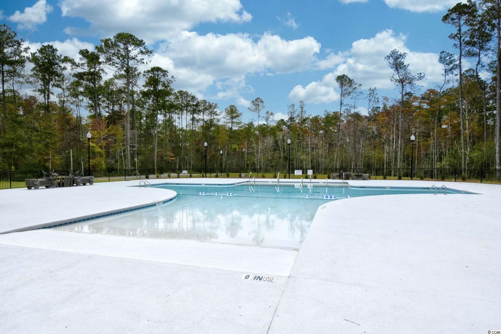 233 Low Country Loop Murrells Inlet, SC 29576 - Photo 14 of 14