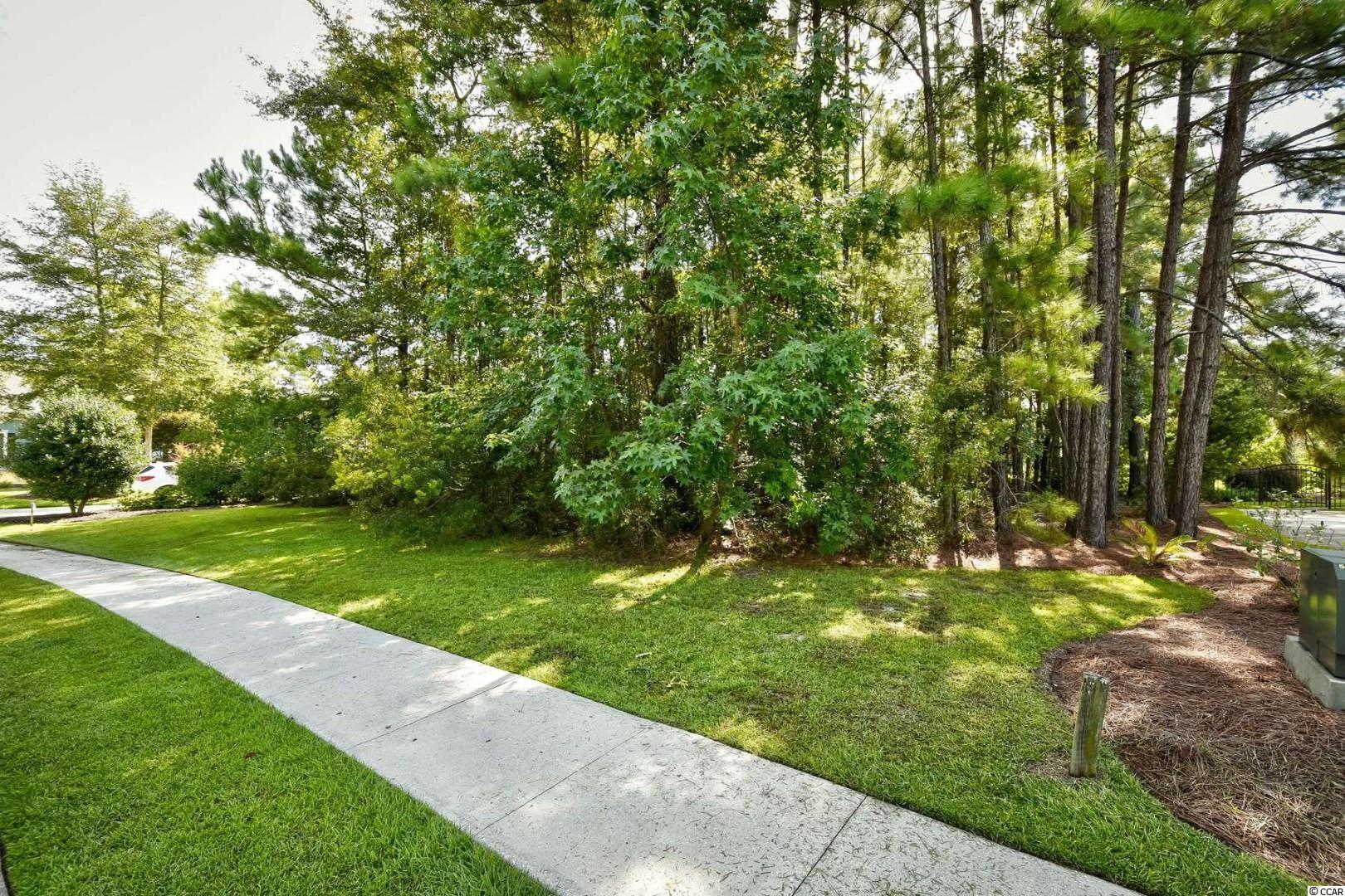 233 Low Country Loop Murrells Inlet, SC 29576 - Photo 3 of 14