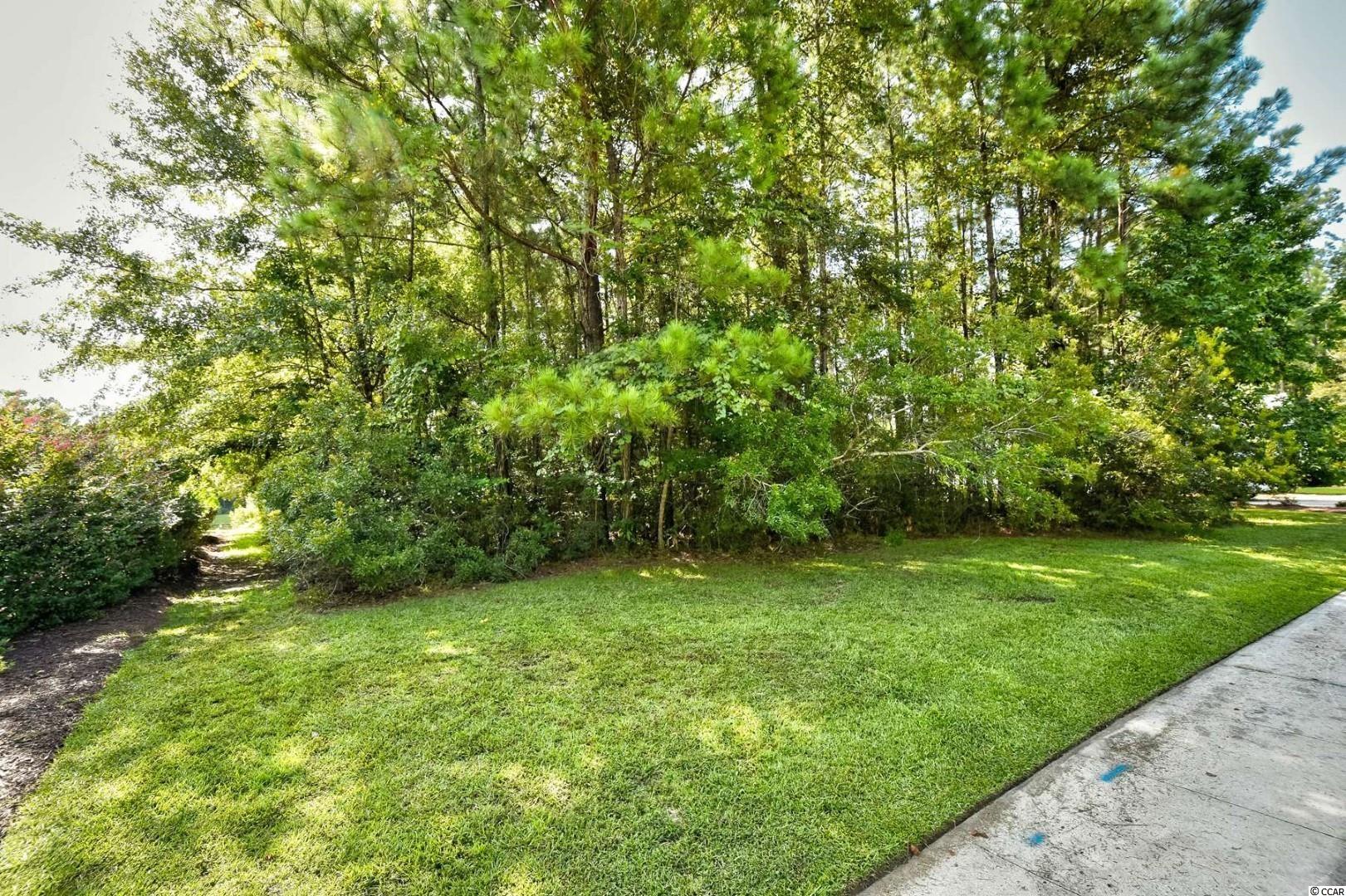 233 Low Country Loop Murrells Inlet, SC 29576 - Photo 4 of 14