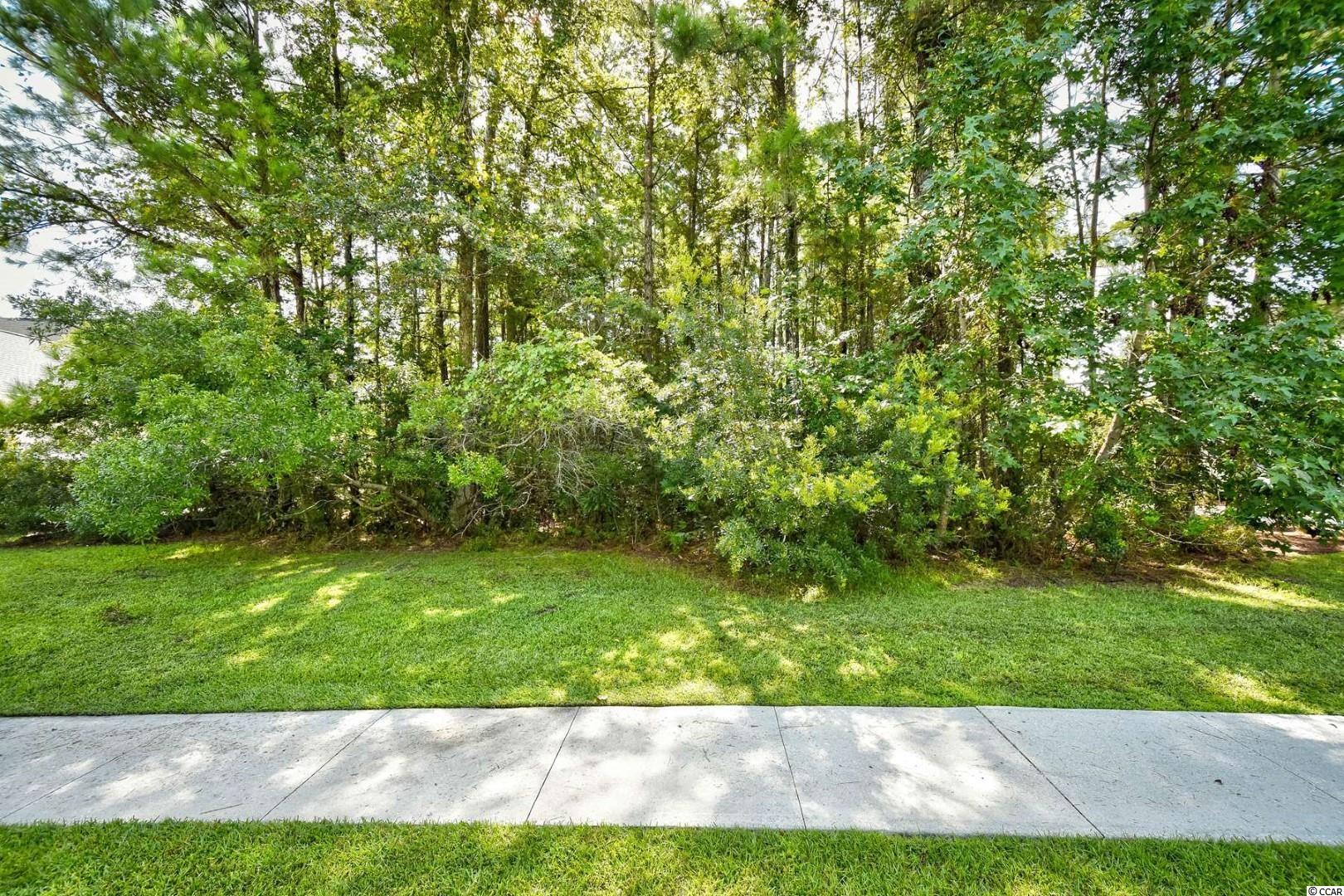 233 Low Country Loop Murrells Inlet, SC 29576 - Photo 5 of 14