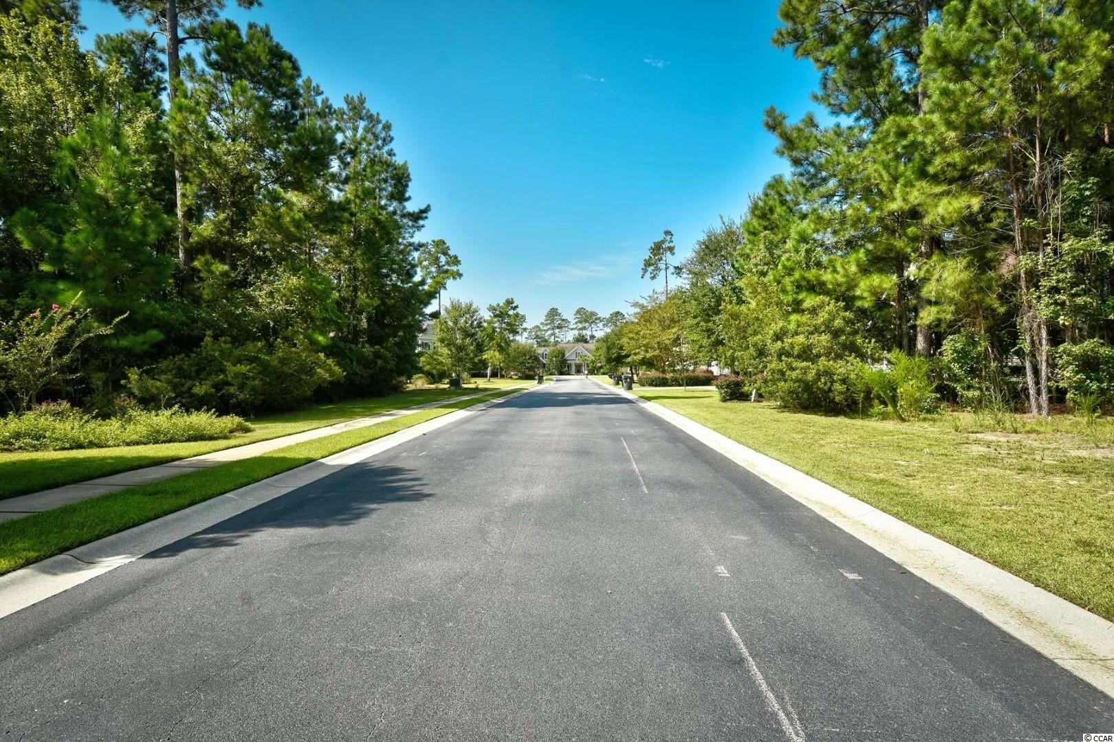 233 Low Country Loop Murrells Inlet, SC 29576 - Photo 9 of 14