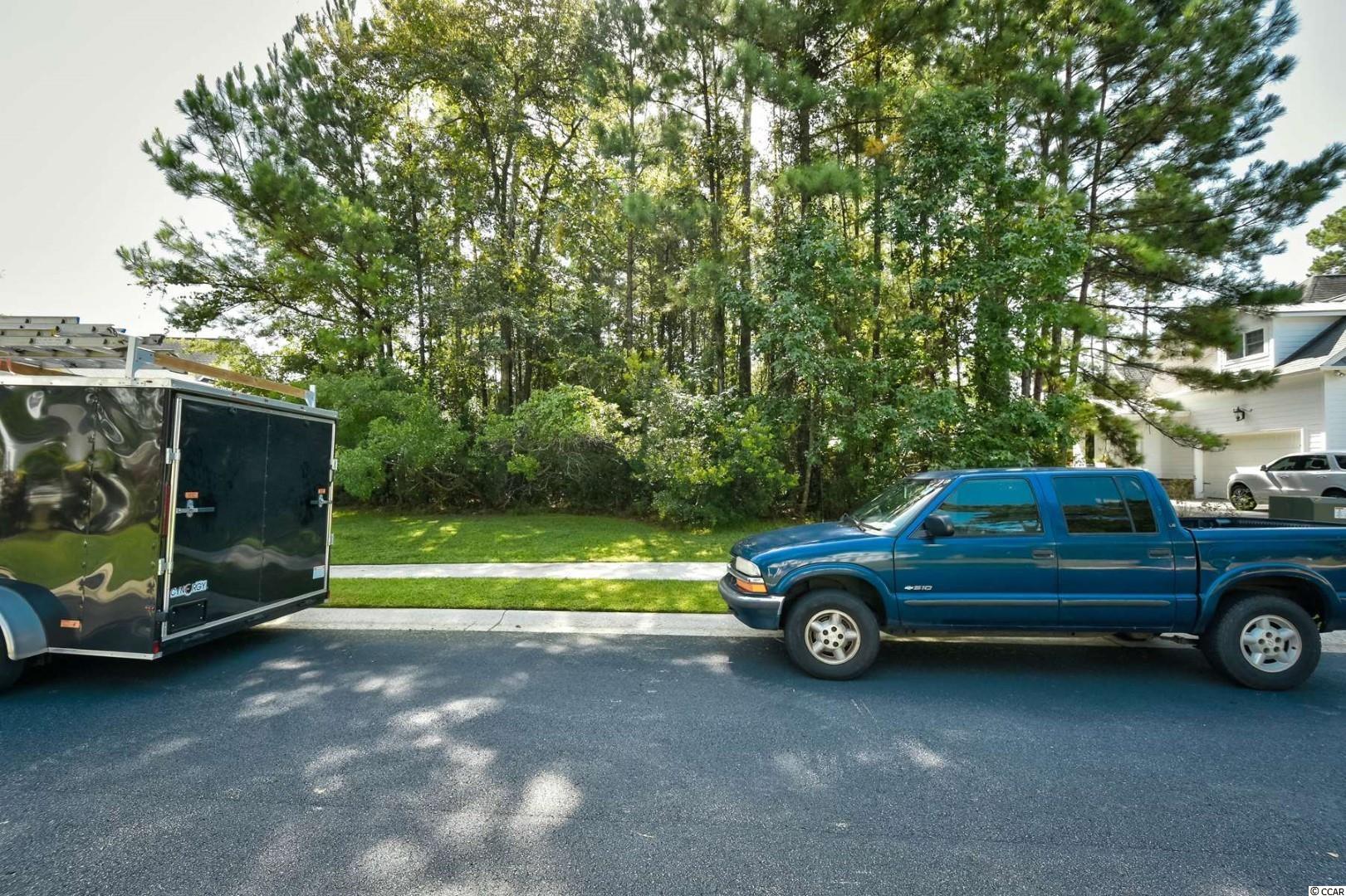 233 Low Country Loop Murrells Inlet, SC 29576 - Photo 10 of 14