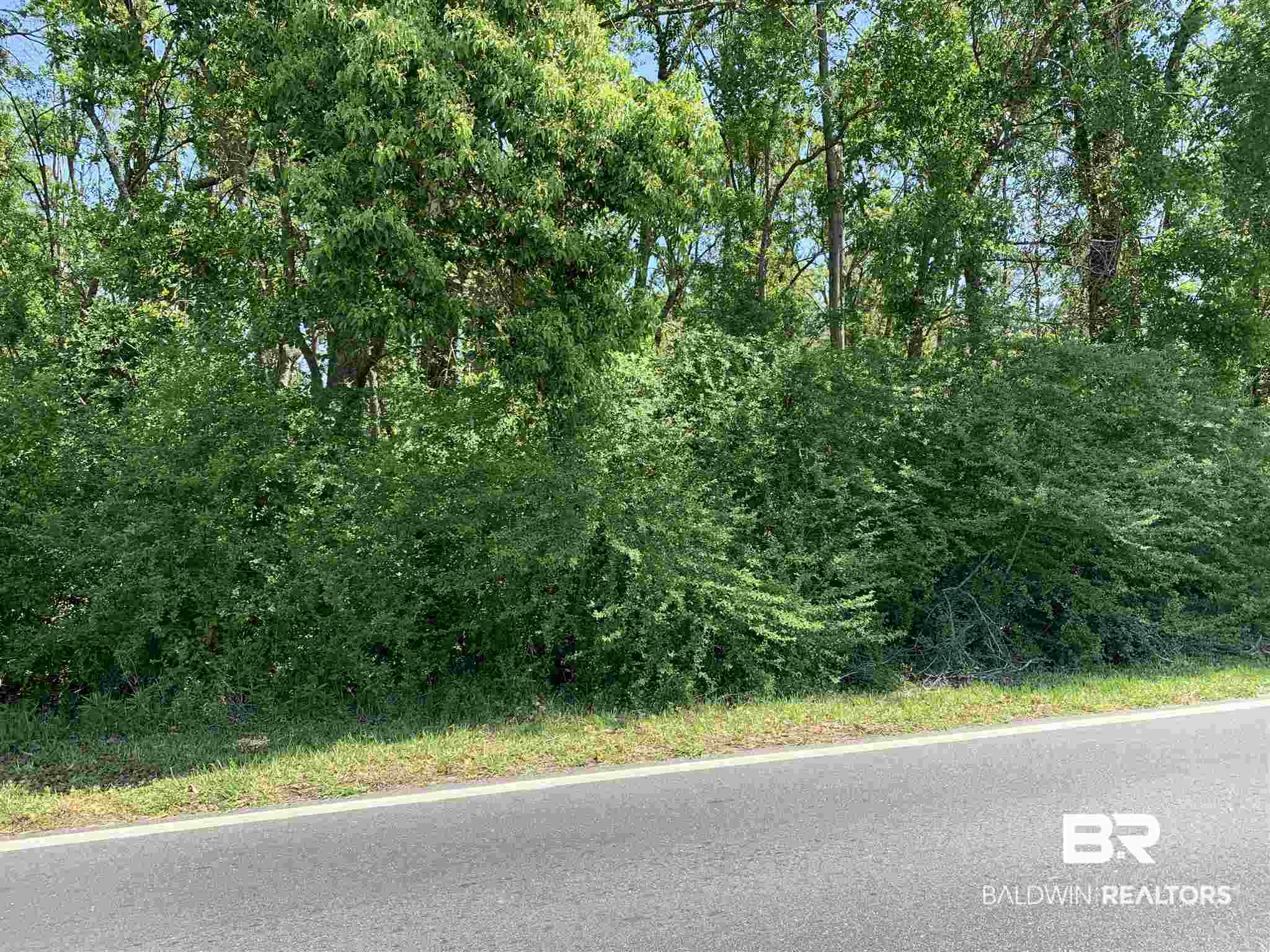 600 North Hickory Street Foley, AL 36535 - Photo 3 of 4