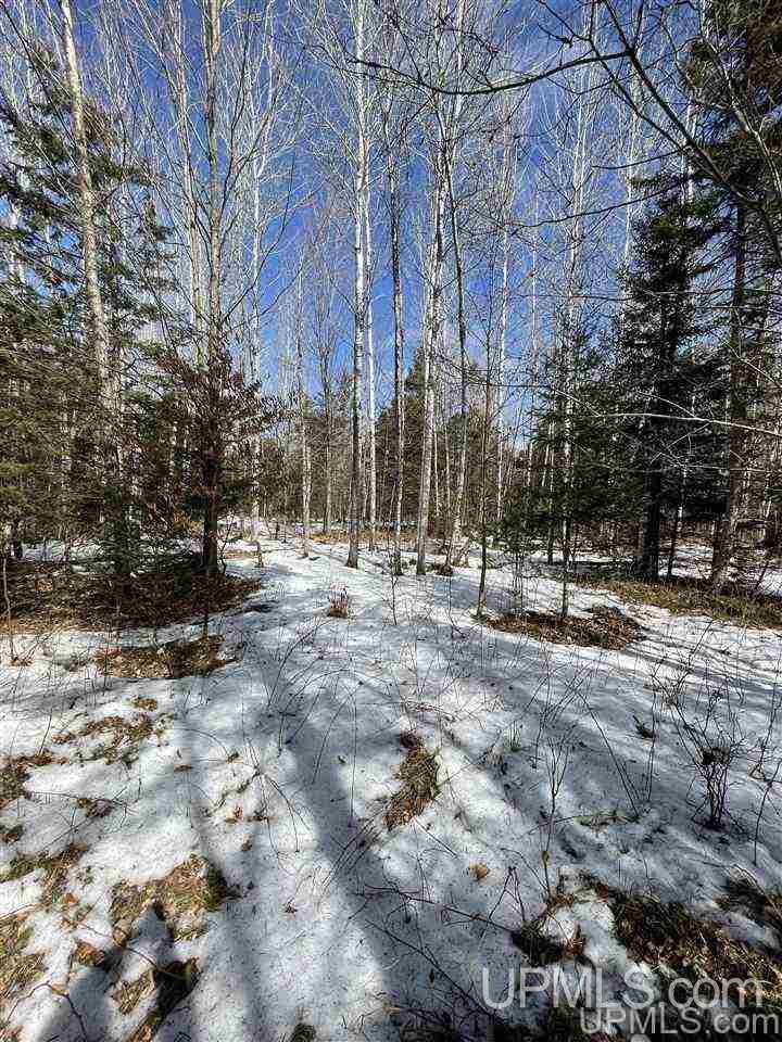 Tbd Tbd Co Road, Unit 1 Marquette, MI 49855 - Photo 24 of 50