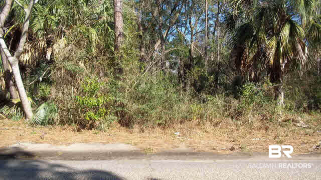 0 Barin Field Road Foley, AL 36535 - Photo 2 of 2