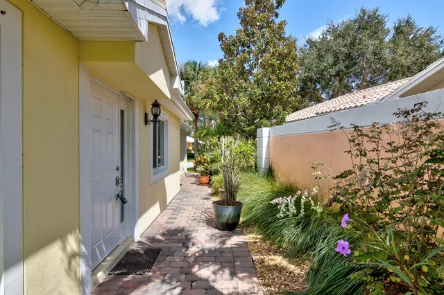 a view of a potted plants next to a wall
