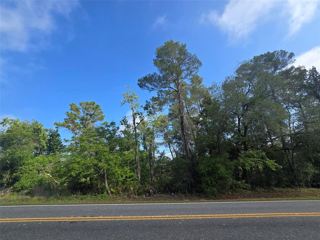 10185 Noddy Tern Road Weeki Wachee, FL 34613 - Photo 5 of 5